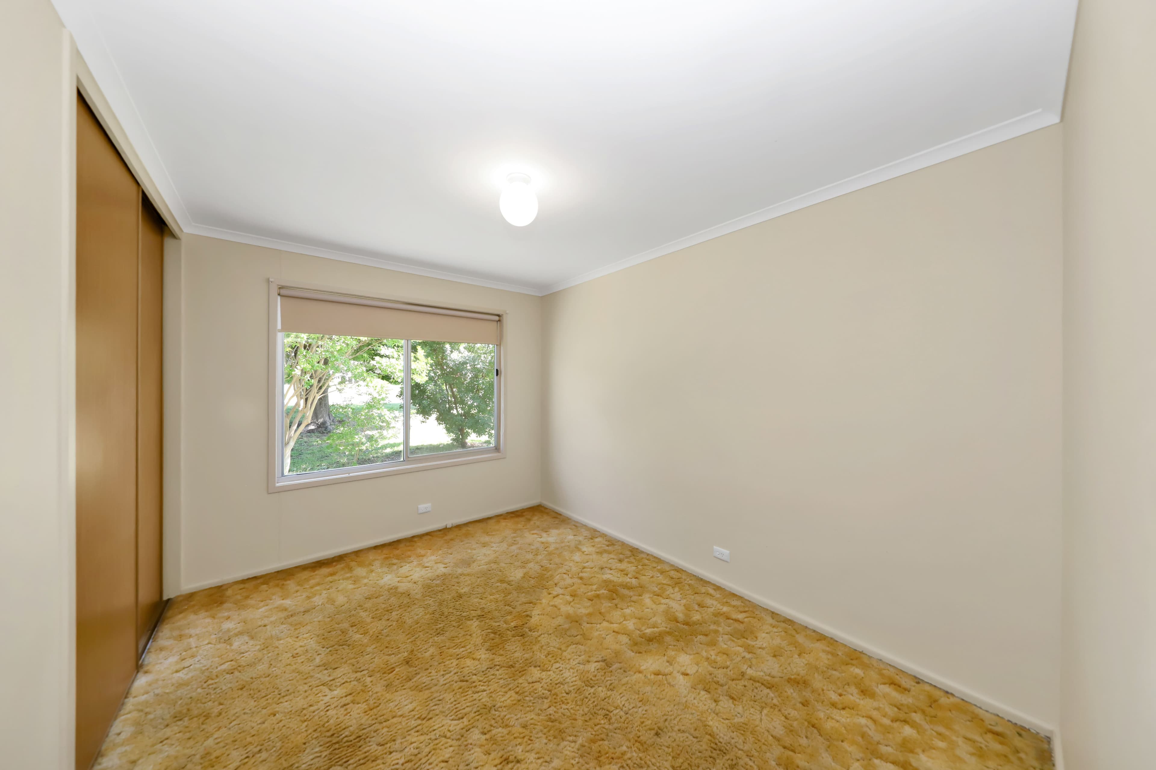 80 Lockhart Street, Adelong NSW 2729, Adelong - Thumbnail 7