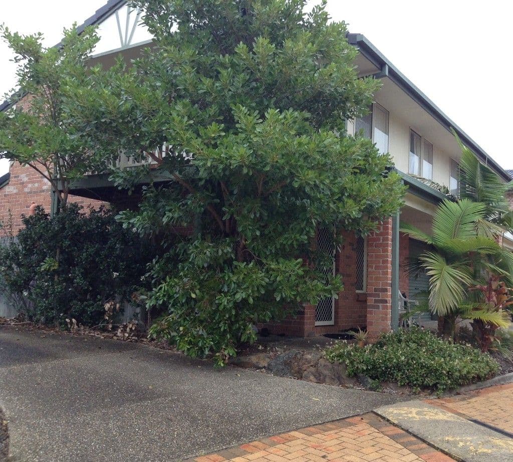 50 Endeavour Street, Mount Ommaney QLD 4074, Mount Ommaney - Thumbnail 4
