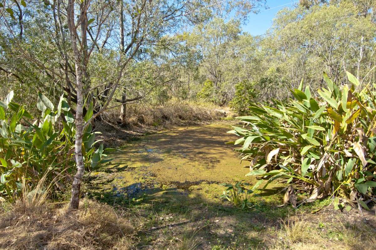 1640 Beaudesert Beenleigh Road, Tamborine QLD 4270, Tamborine - Thumbnail 8