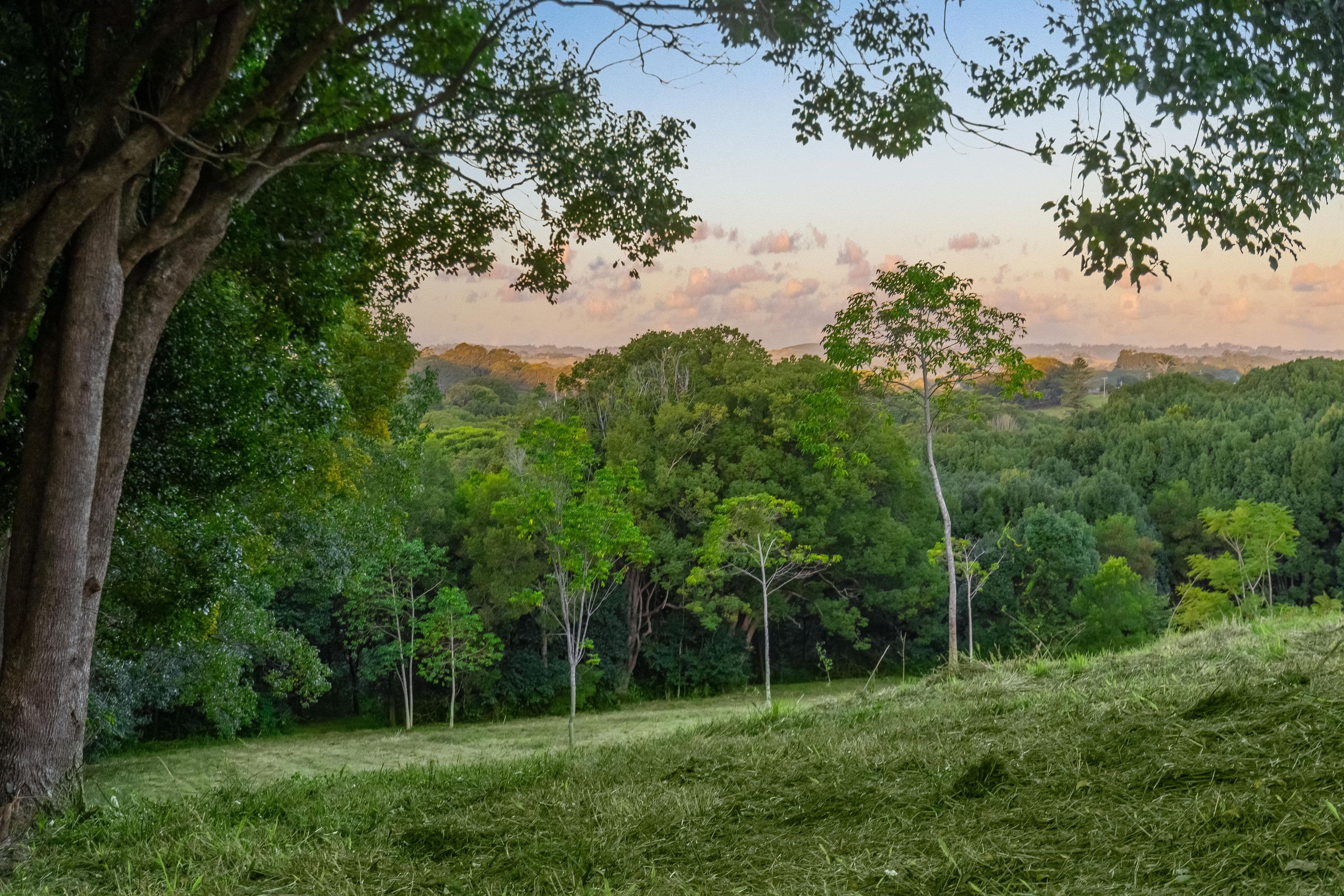 10 Callistemon Drive, Federal NSW 2480, Federal - Thumbnail 3