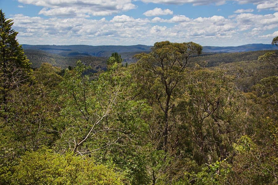 46 Sylvania Street, Mount Victoria - Thumbnail 2