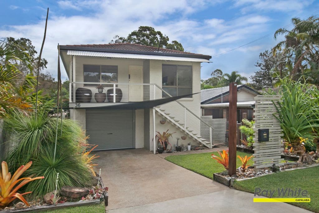36 Winship Street, ORMISTON QLD 4160, Ormiston - Thumbnail 3