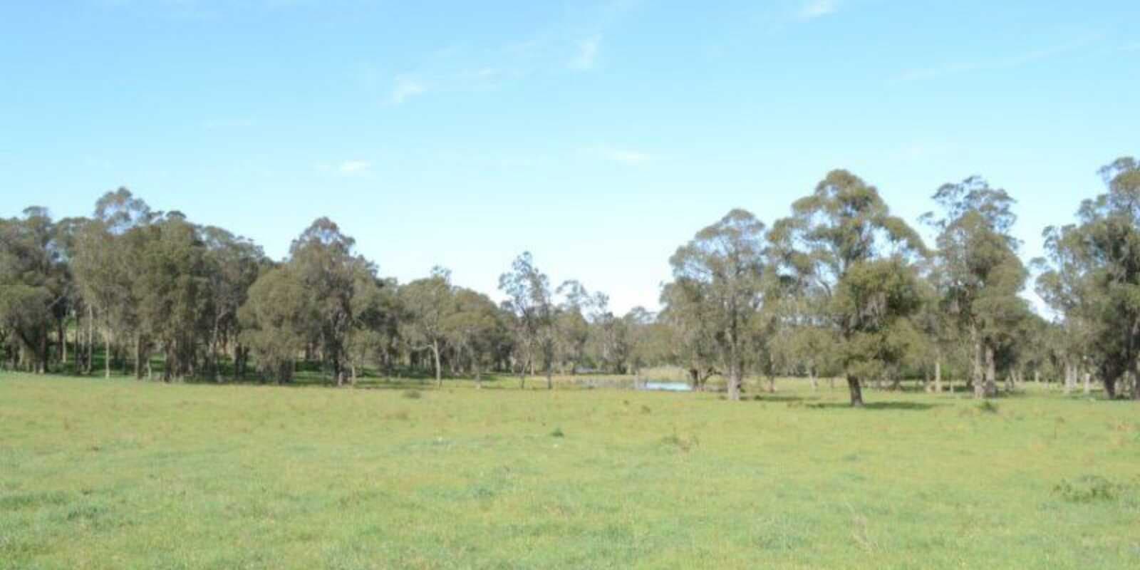 Illawarra Highway Avoca, Avoca - Thumbnail 2