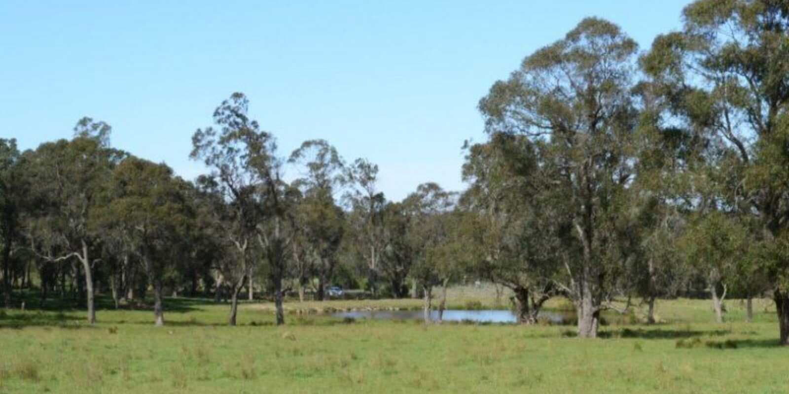 Illawarra Highway Avoca, Avoca - Thumbnail 3
