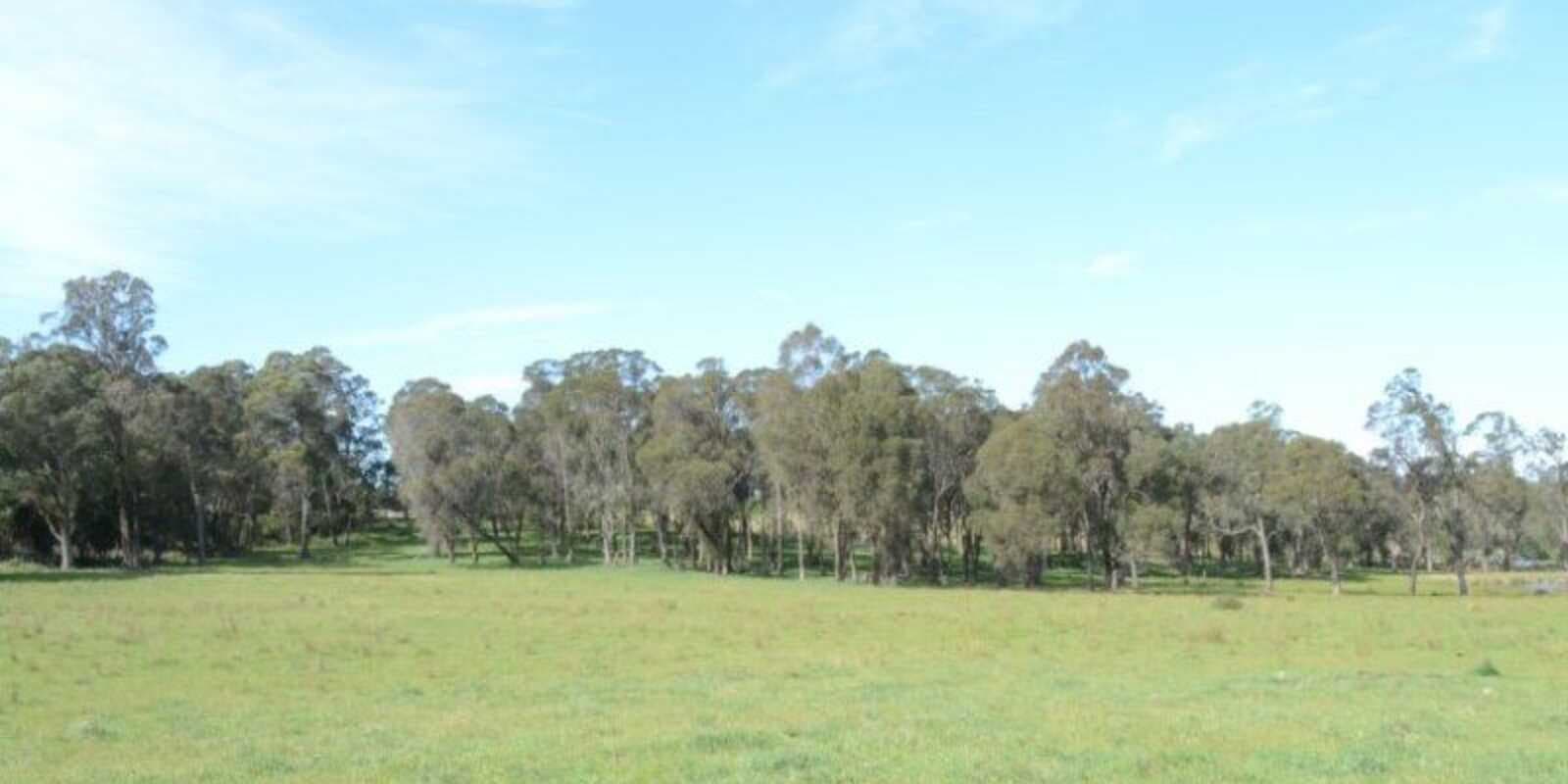 Illawarra Highway Avoca, Avoca - Thumbnail 4