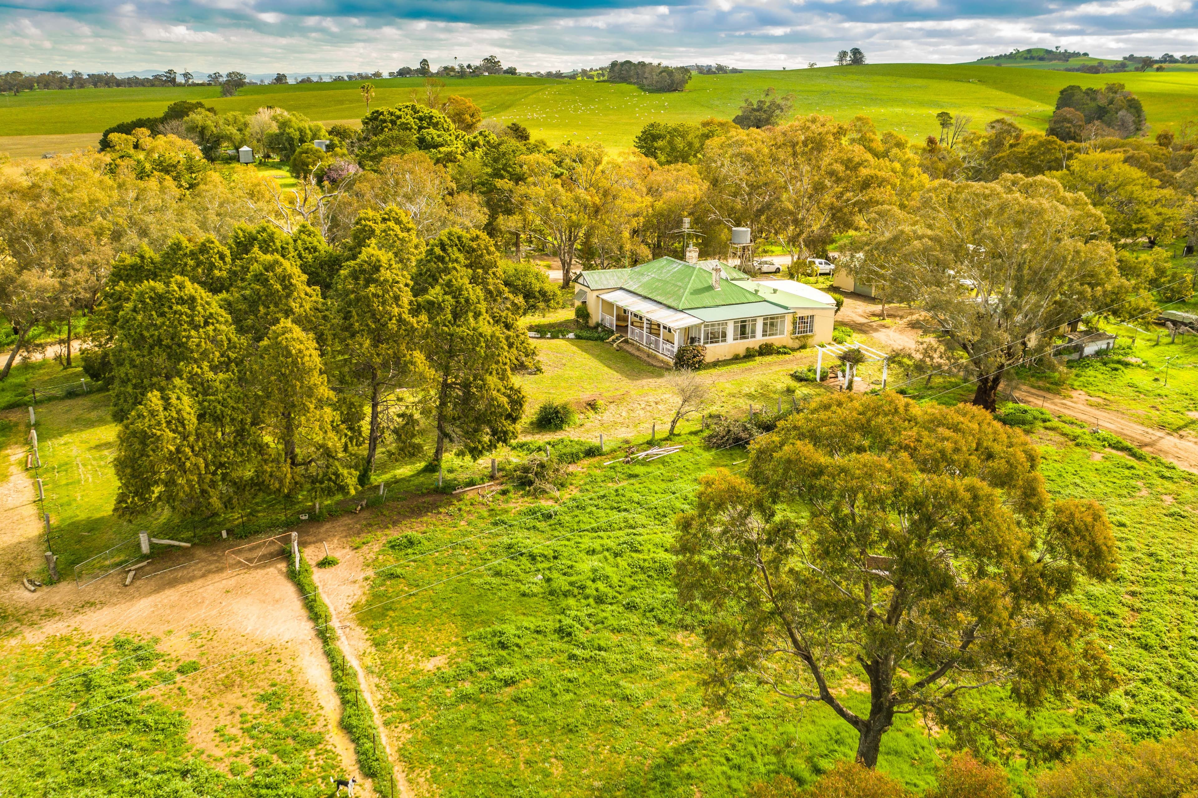 95 Cattle Street, Binalong NSW 2584, Binalong - Image 1