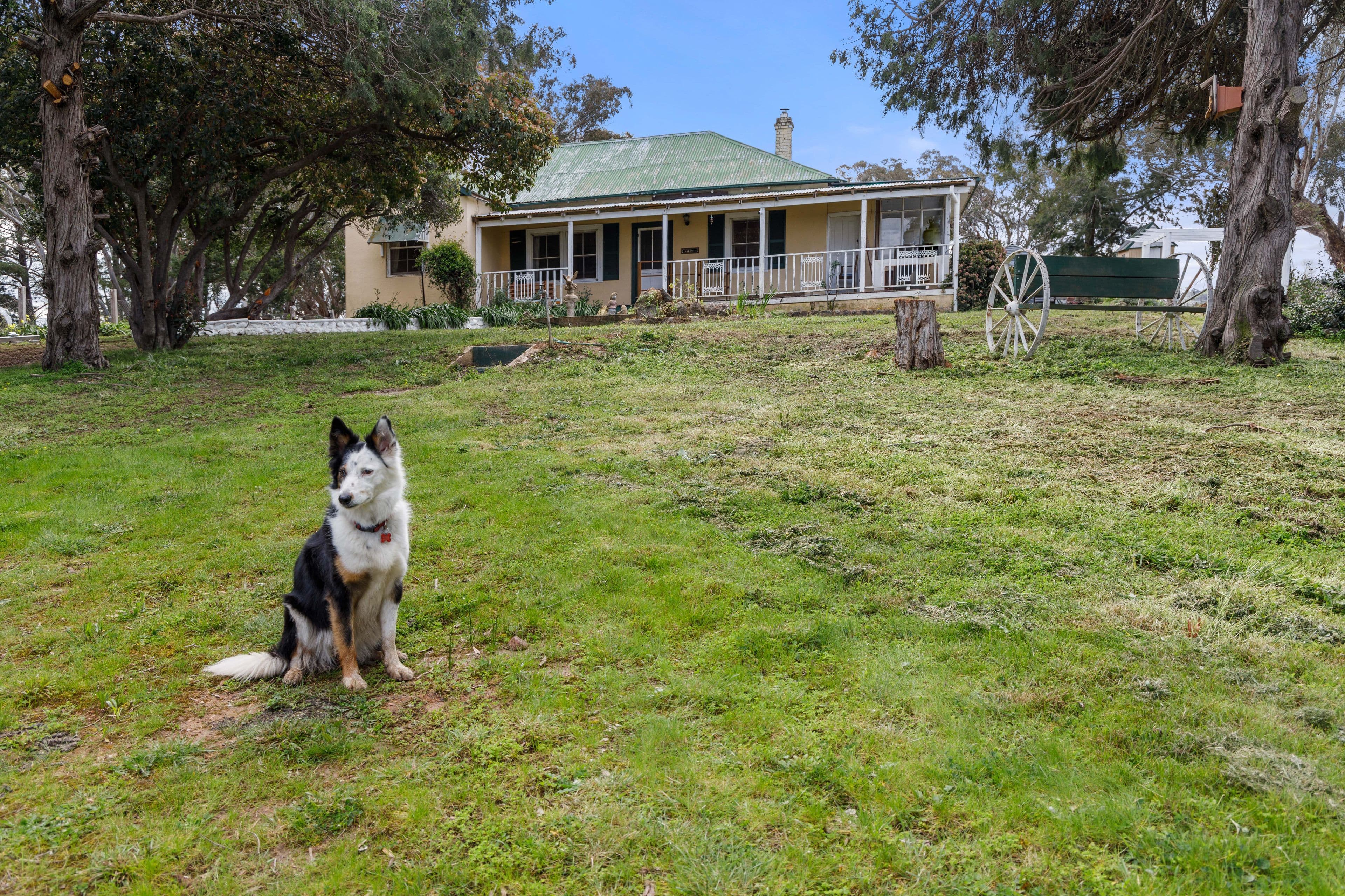 95 Cattle Street, Binalong NSW 2584, Binalong - Thumbnail 4