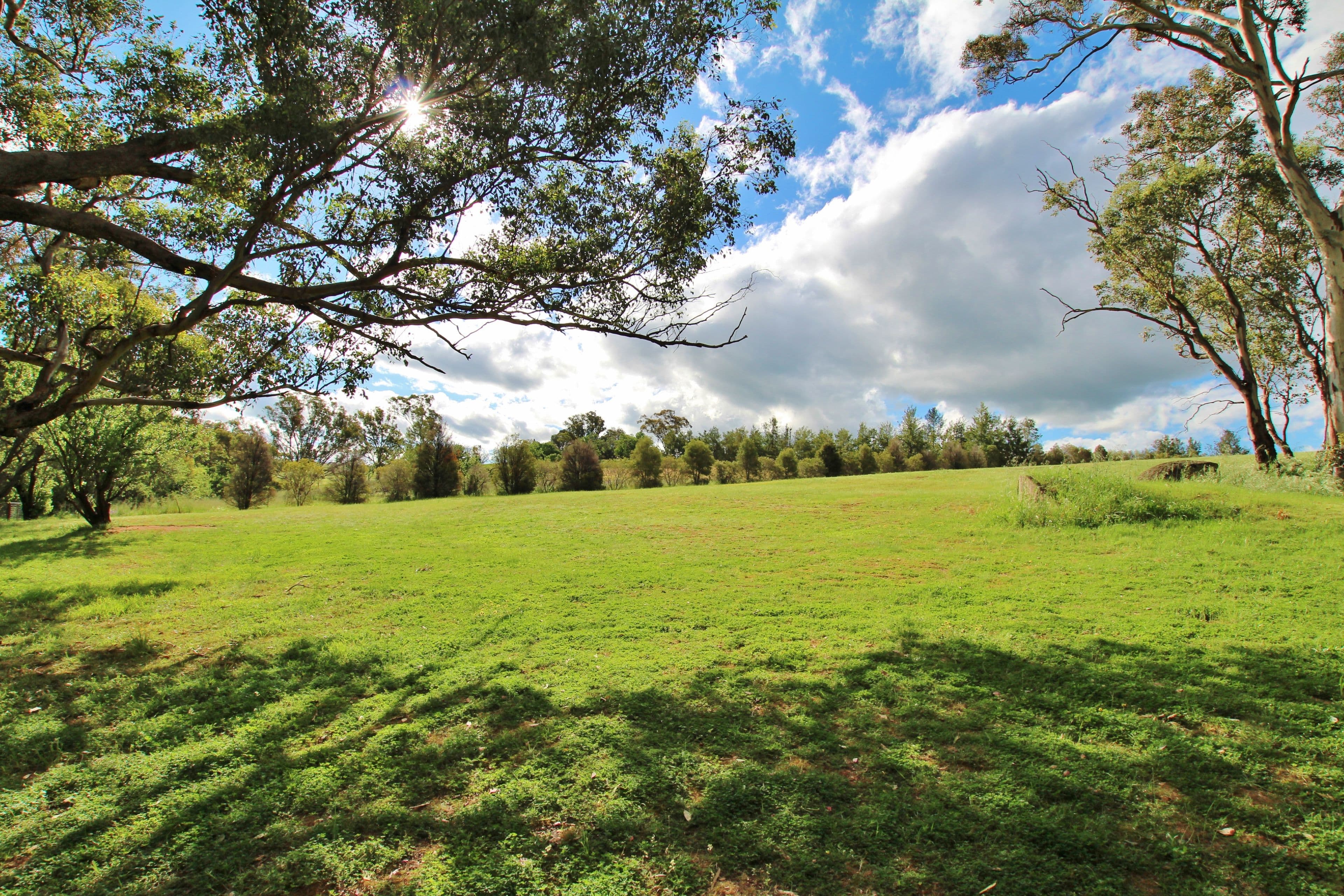 78 Whites Road, Young NSW 2594, Young - Image 1
