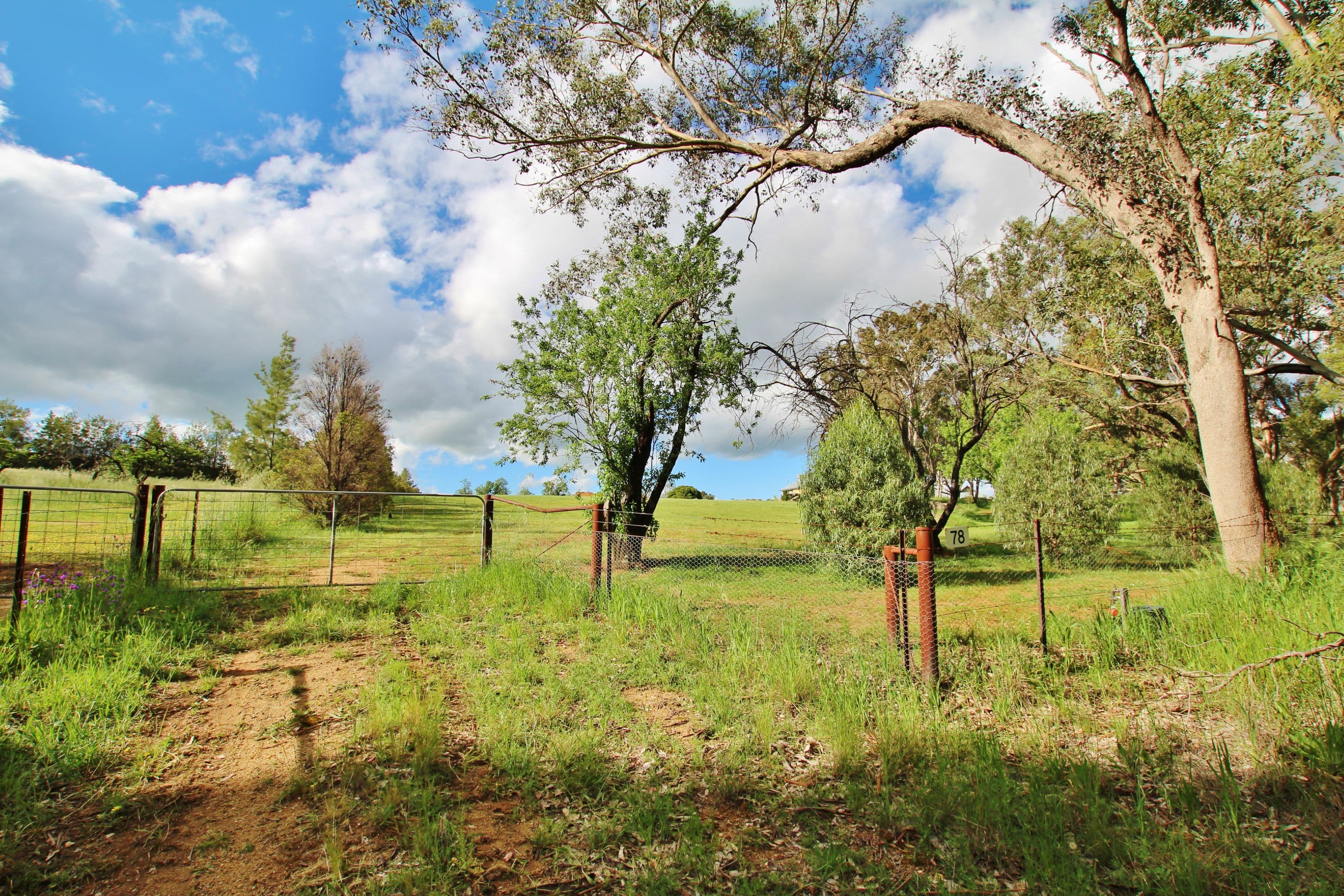 78 Whites Road, Young NSW 2594, Young - Thumbnail 2