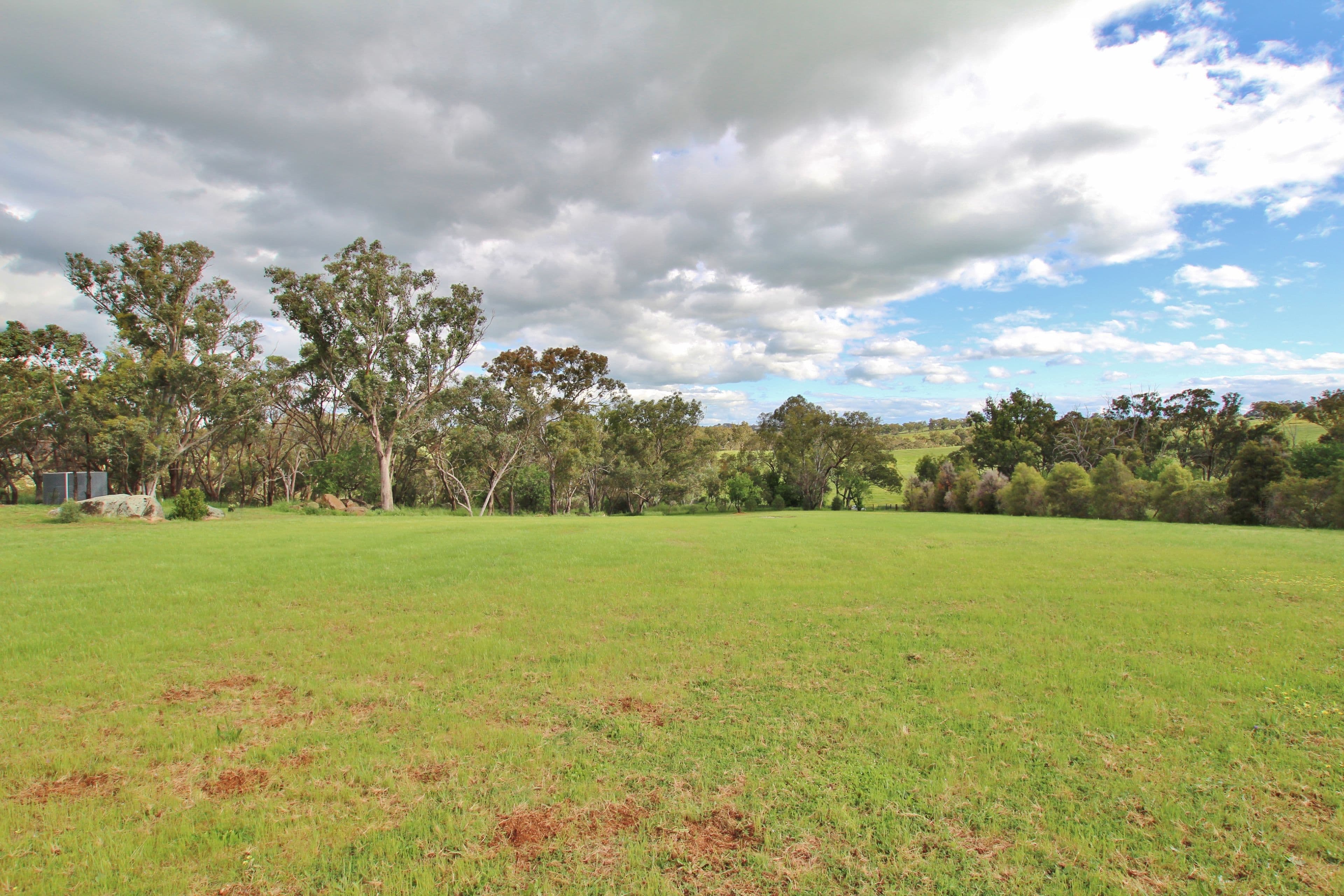 78 Whites Road, Young NSW 2594, Young - Thumbnail 4