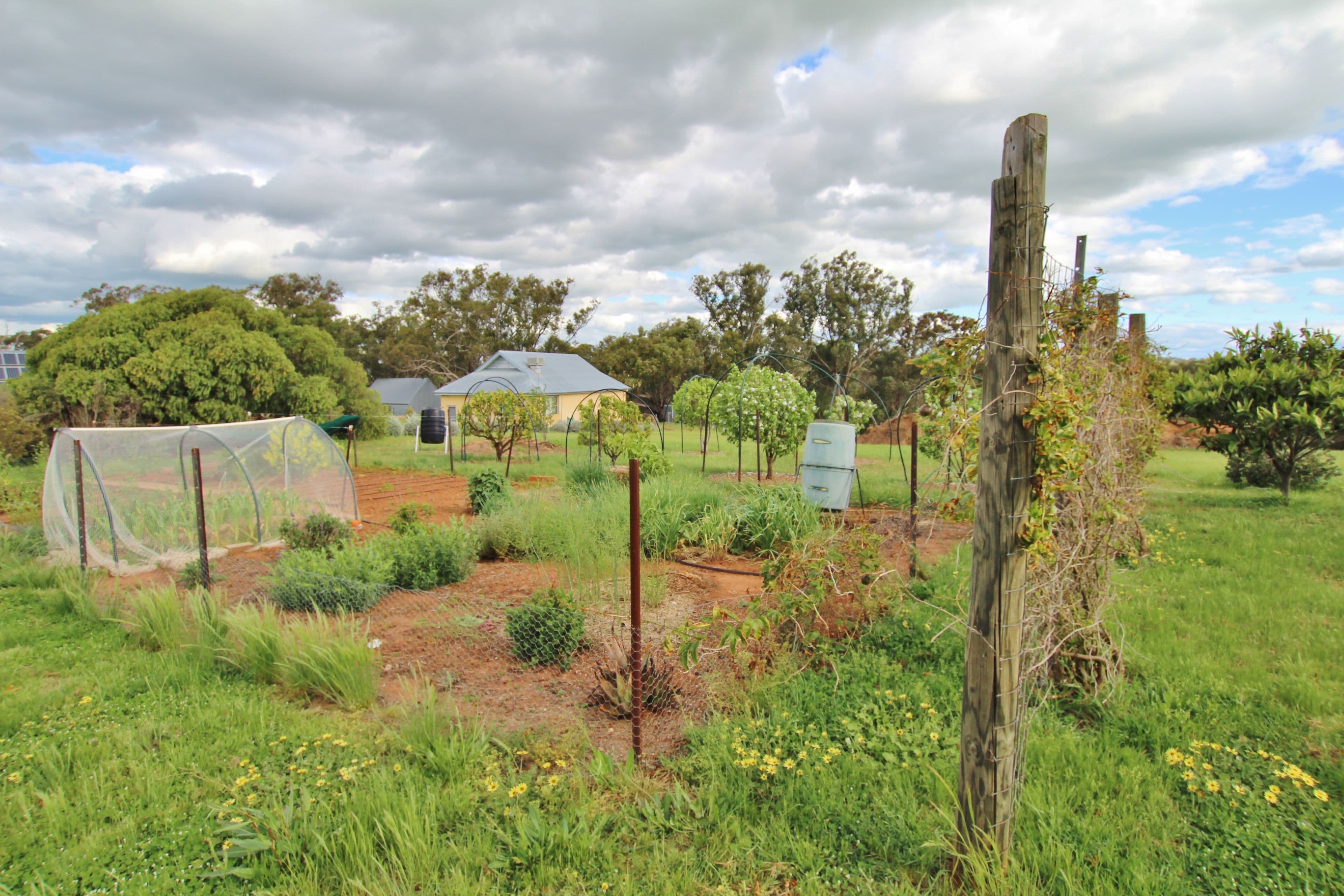 78 Whites Road, Young NSW 2594, Young - Thumbnail 7
