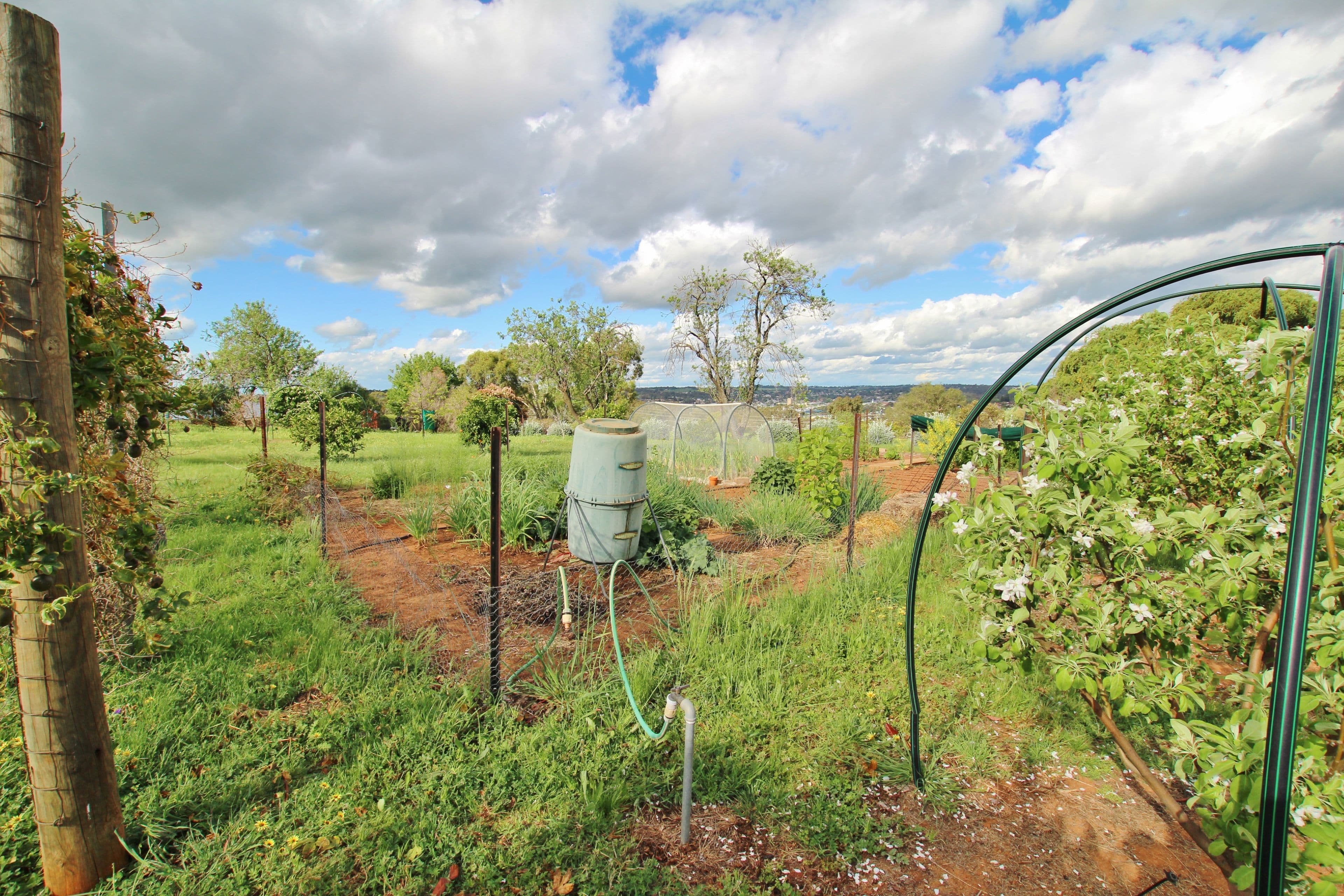 78 Whites Road, Young NSW 2594, Young - Thumbnail 8