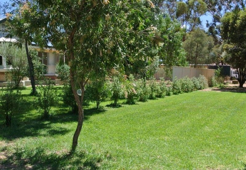 20271 Renmark Avenue, RENMARK SA 5341, Renmark - Thumbnail 3