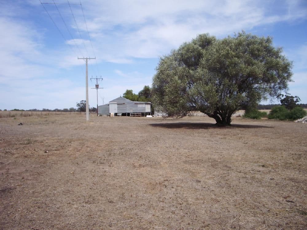 231 Buckingham Road, MUNDULLA SA 5270, Mundulla - Thumbnail 2