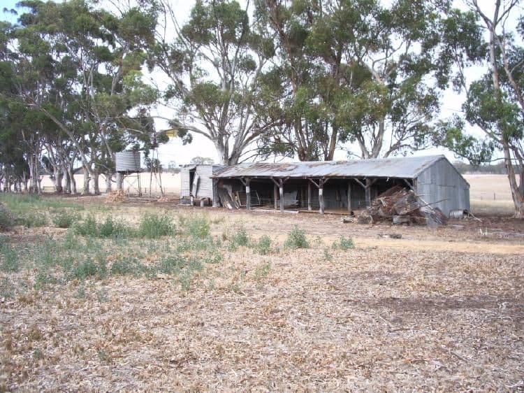 231 Buckingham Road, MUNDULLA SA 5270, Mundulla - Thumbnail 5