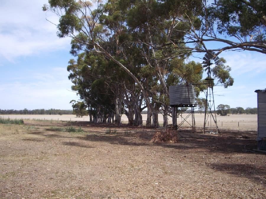 231 Buckingham Road, MUNDULLA SA 5270, Mundulla - Thumbnail 6