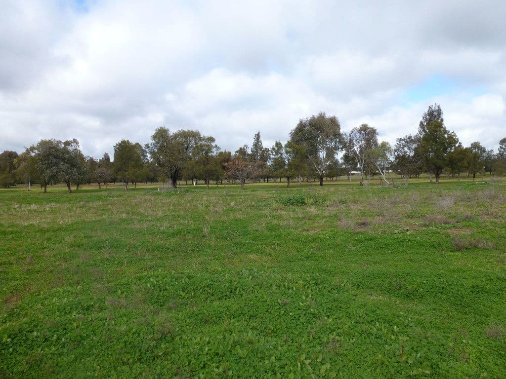 88 Lakeside Circuit, Dubbo NSW 2830, Dubbo - Image 1
