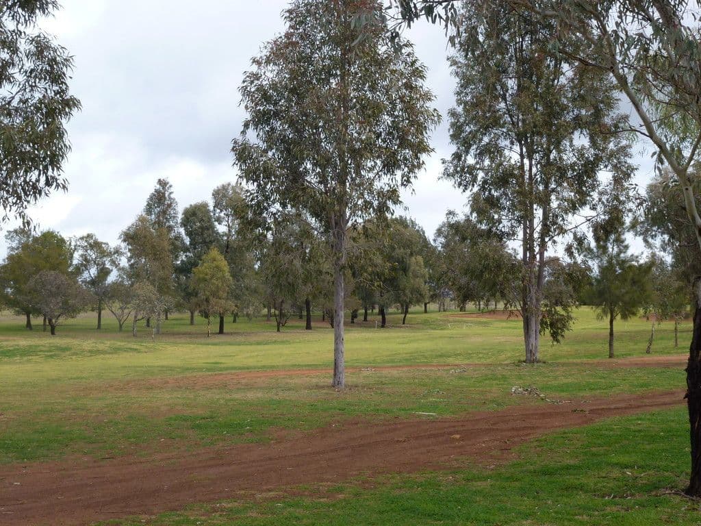88 Lakeside Circuit, Dubbo NSW 2830, Dubbo - Thumbnail 3