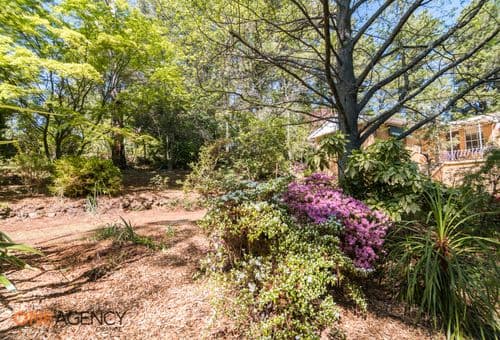 597 Canobolas Road, Orange, Orange - Image 1
