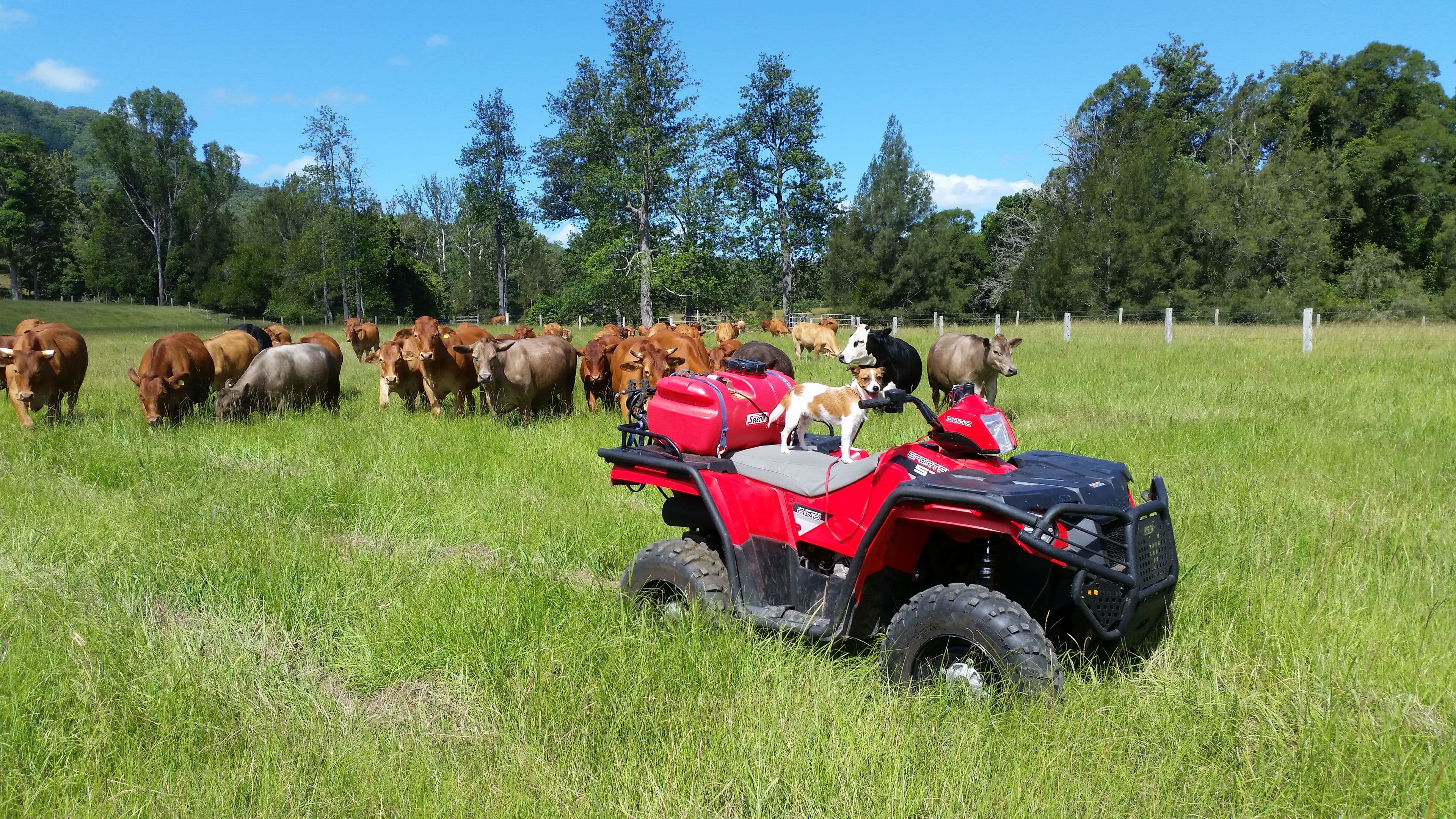 Conondale QLD 4552, Conondale - Image 1