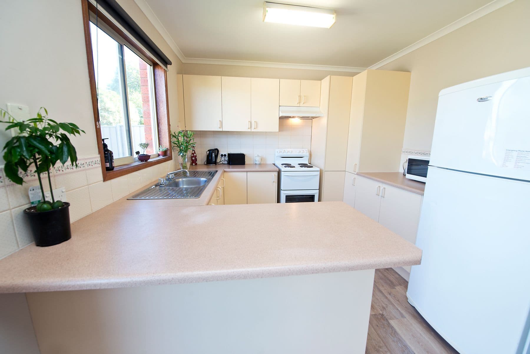 11 Foster Street, Swan Hill VIC 3585, Swan Hill - Thumbnail 2
