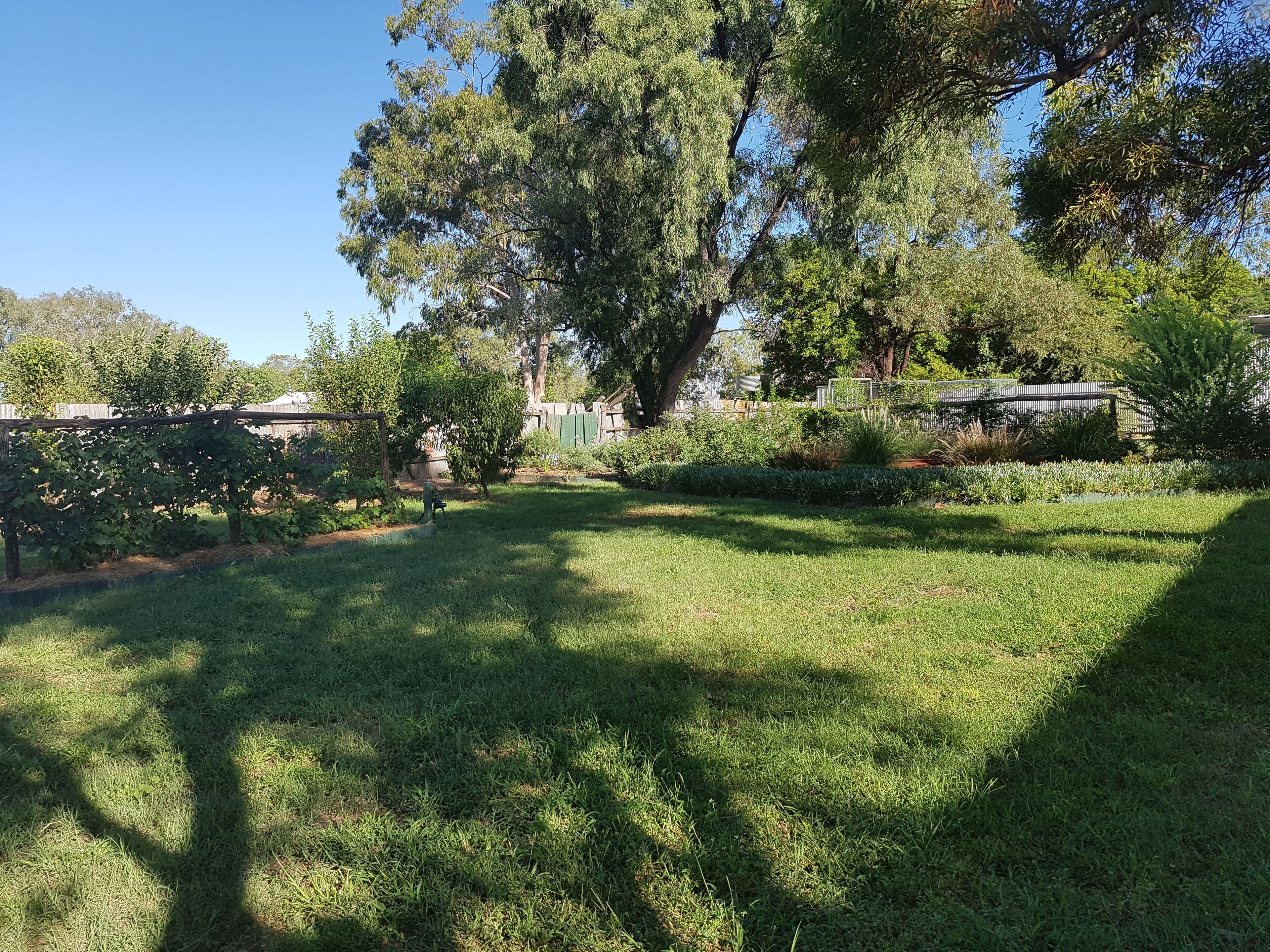 15-17 Carter Street, Charleville QLD 4470, Charleville - Thumbnail 3