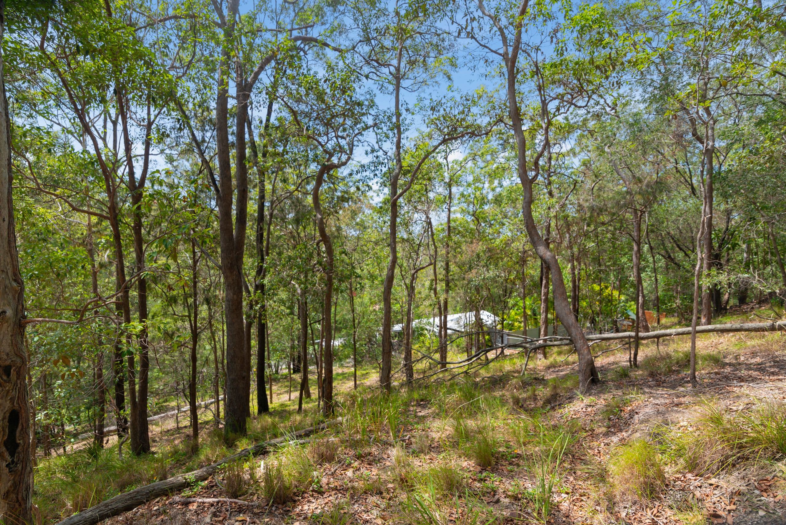 28 Bronhill Street, Currumbin Waters QLD 4223, Currumbin Waters - Image 1