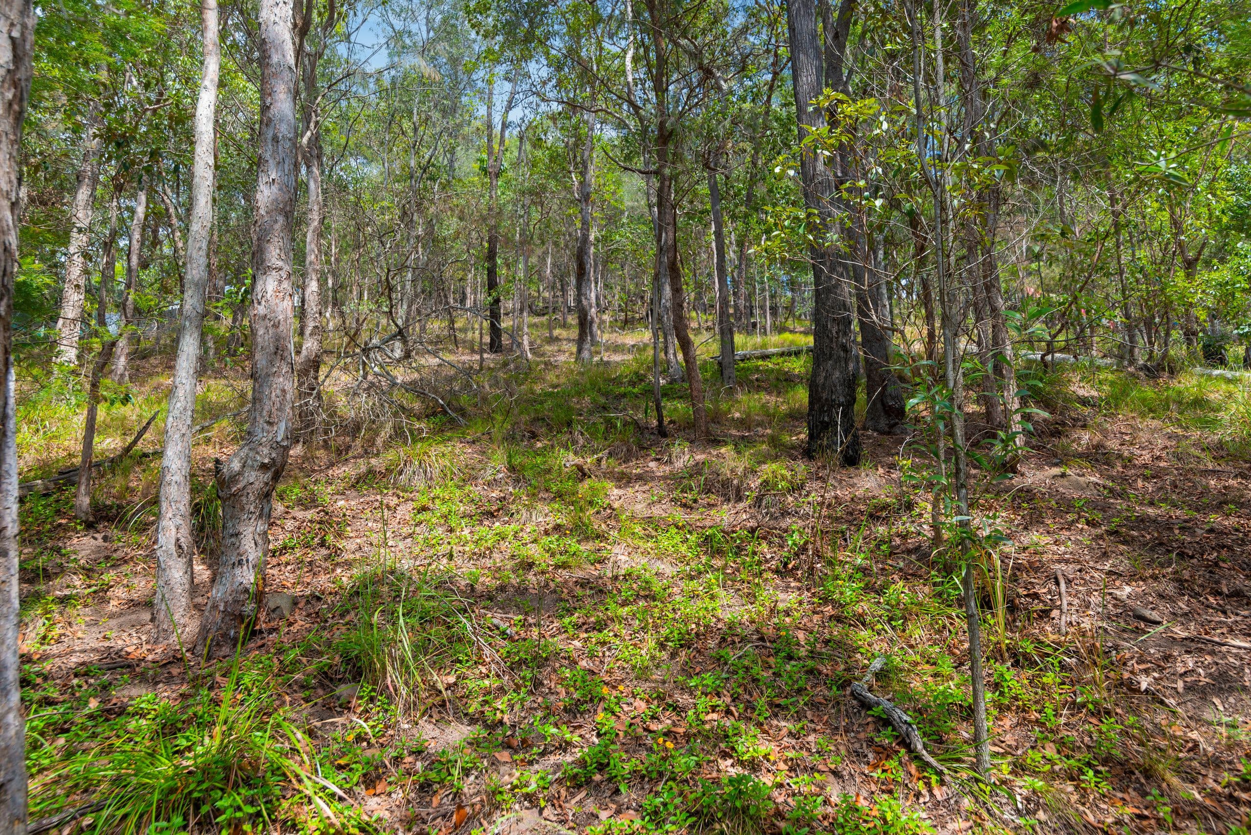 28 Bronhill Street, Currumbin Waters QLD 4223, Currumbin Waters - Thumbnail 2