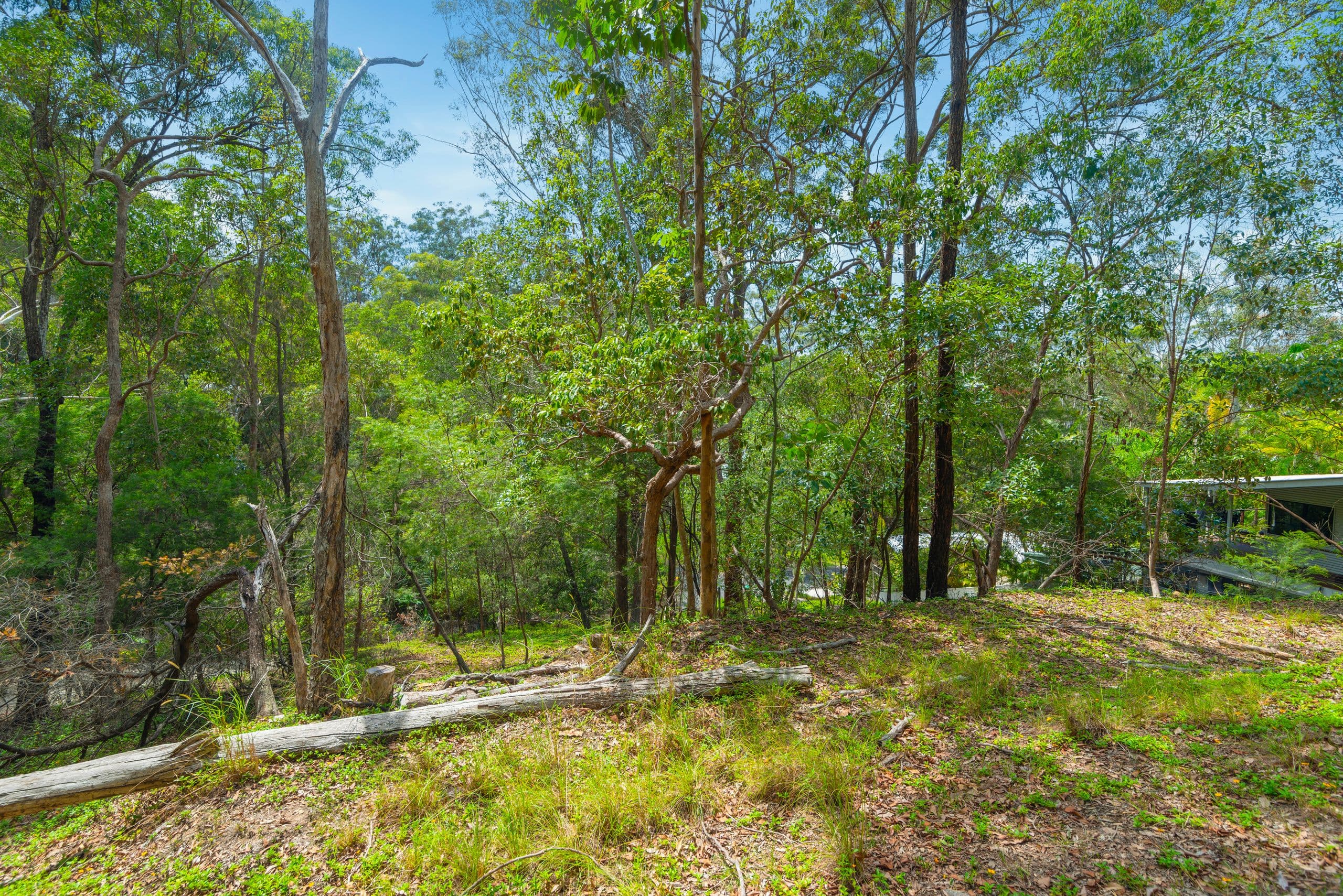 28 Bronhill Street, Currumbin Waters QLD 4223, Currumbin Waters - Thumbnail 4