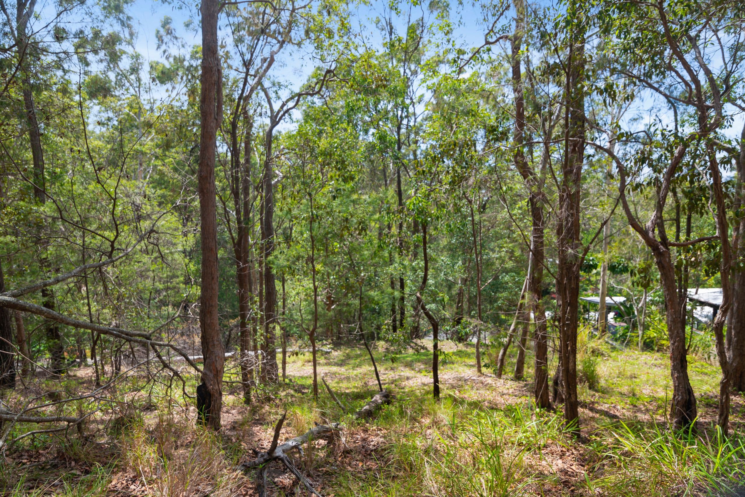 28 Bronhill Street, Currumbin Waters QLD 4223, Currumbin Waters - Thumbnail 5