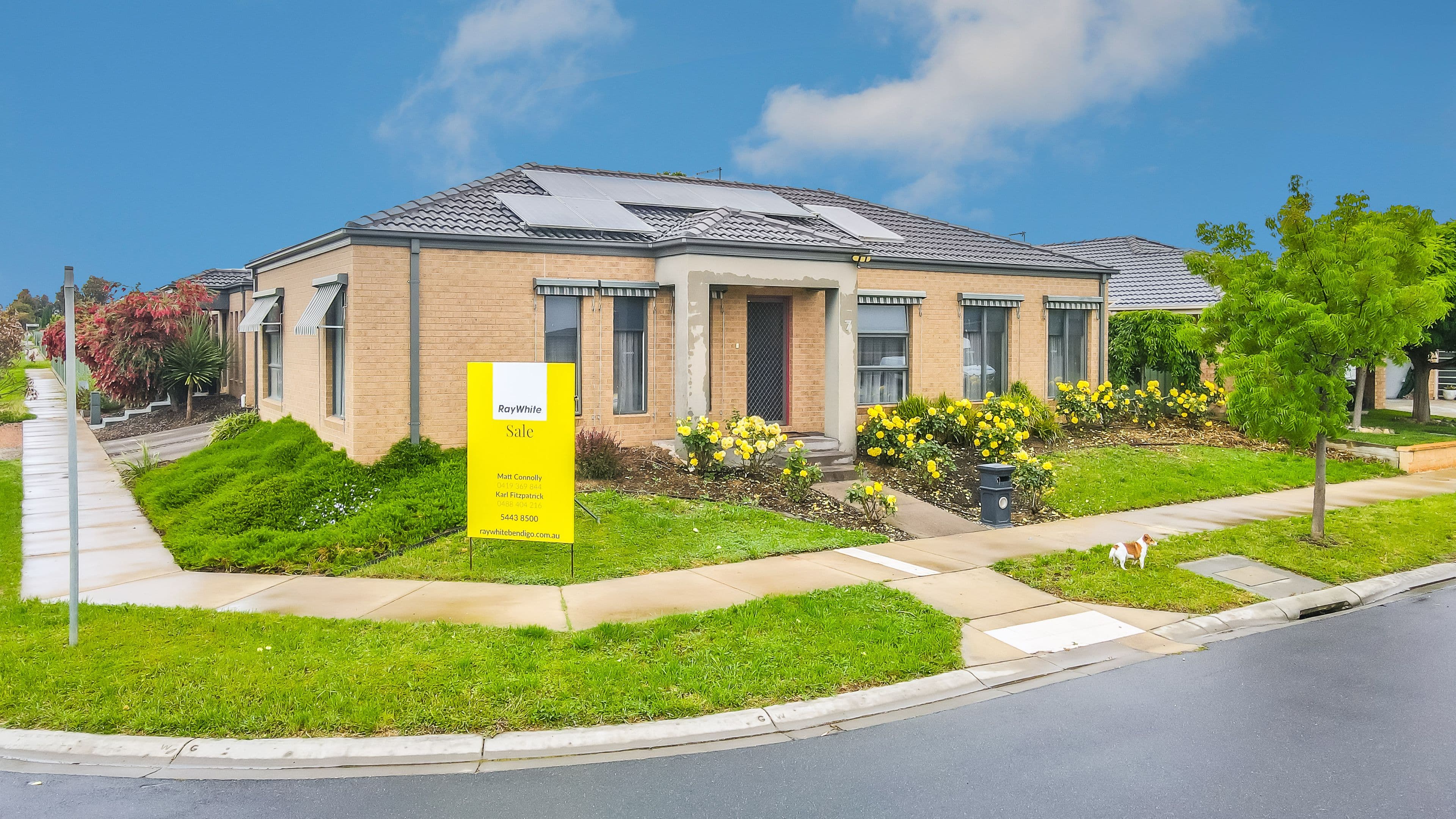 7 Blay Street, Epsom VIC 3551, Epsom - Image 1
