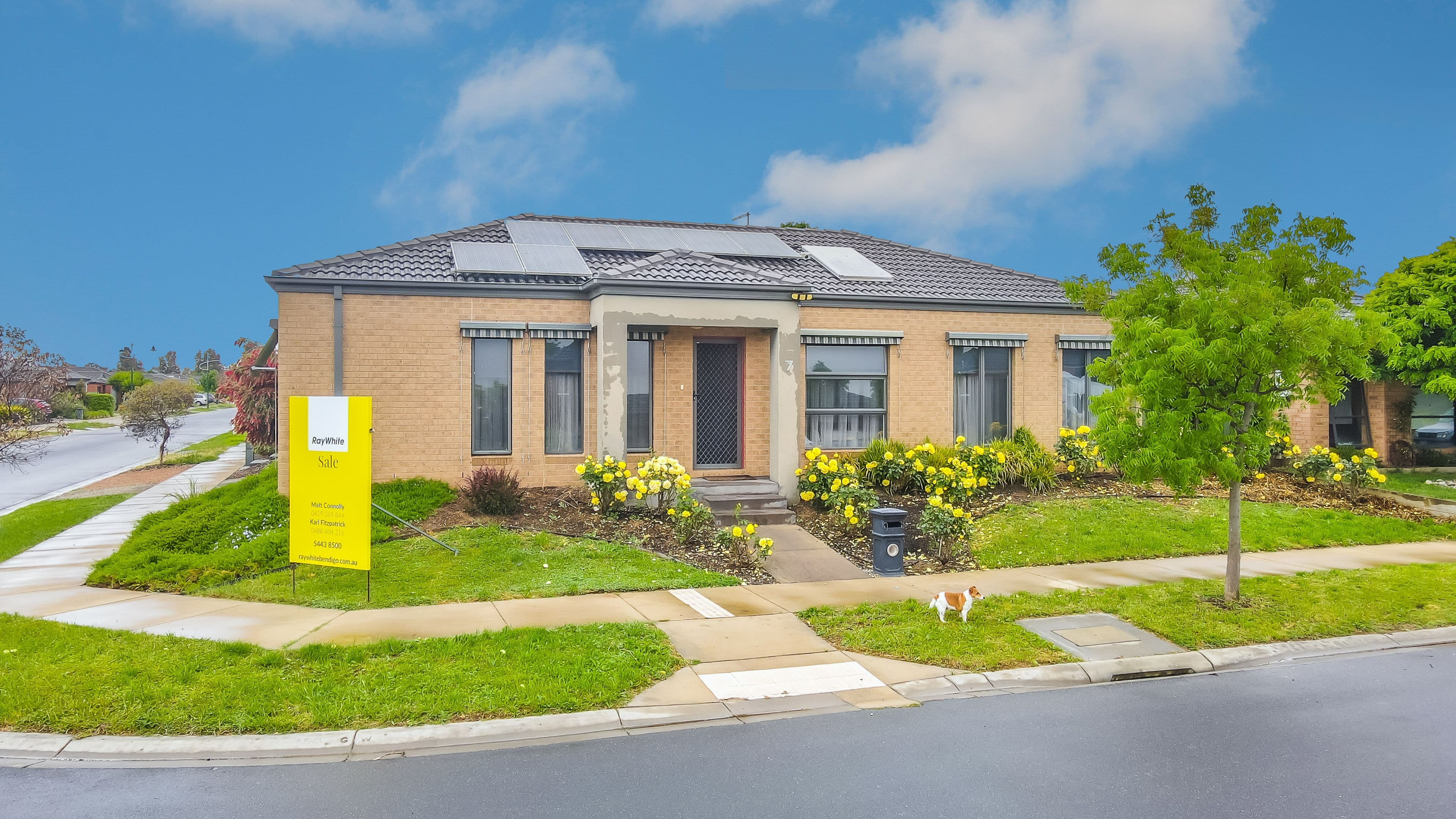 7 Blay Street, Epsom VIC 3551, Epsom - Thumbnail 2
