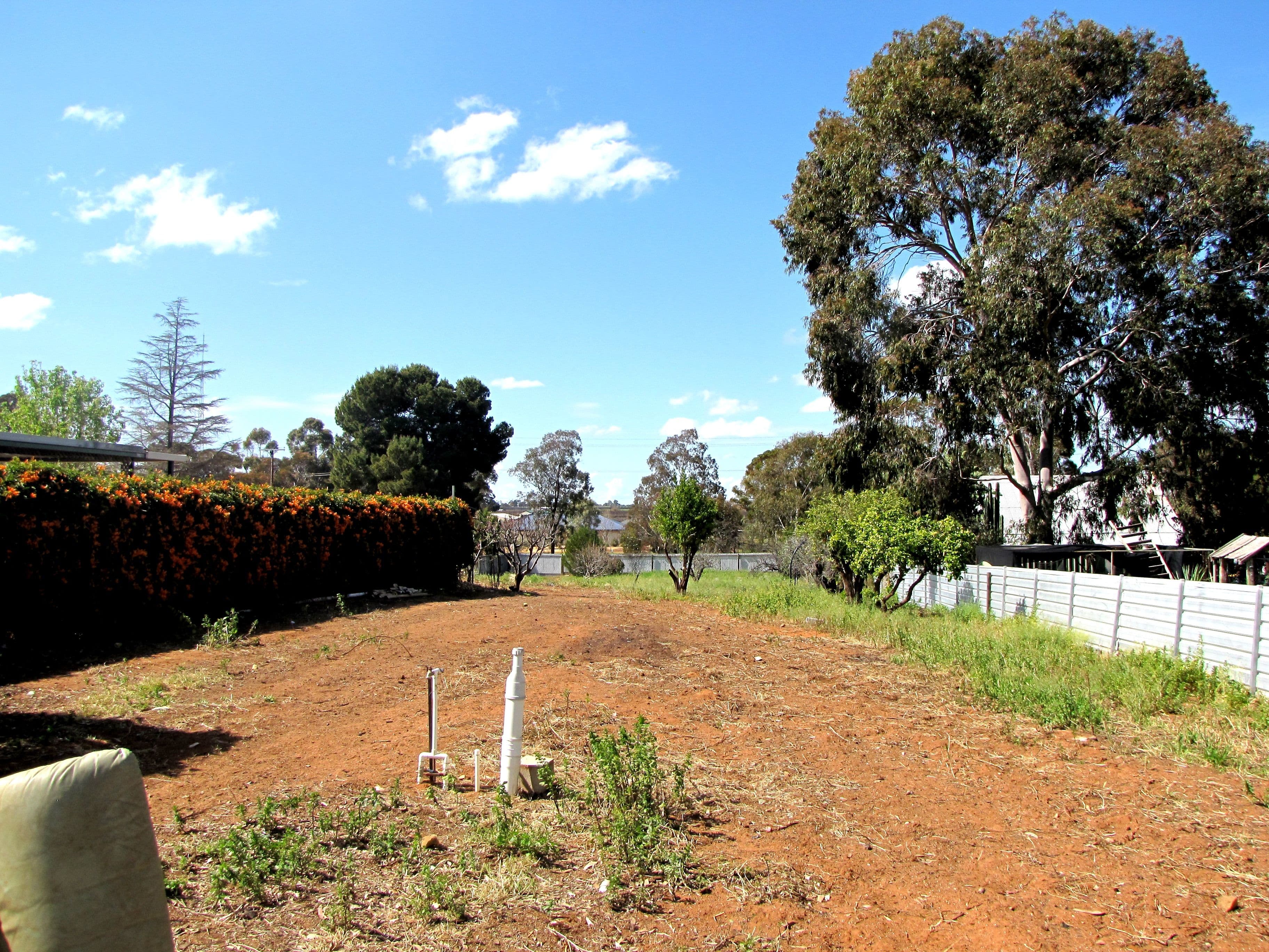 1684 Bookpurnong Road, Loxton SA 5333, Loxton - Thumbnail 8