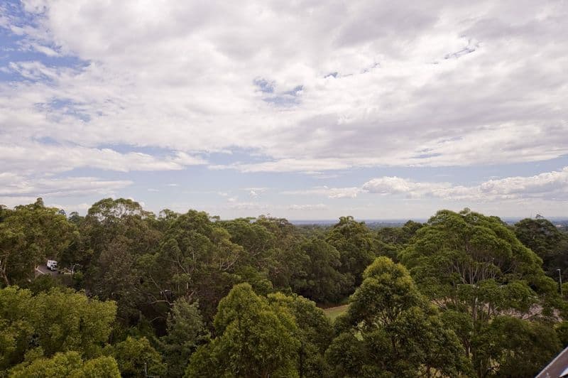 28 Whitton Road, CHATSWOOD NSW 2067, Chatswood - Thumbnail 6