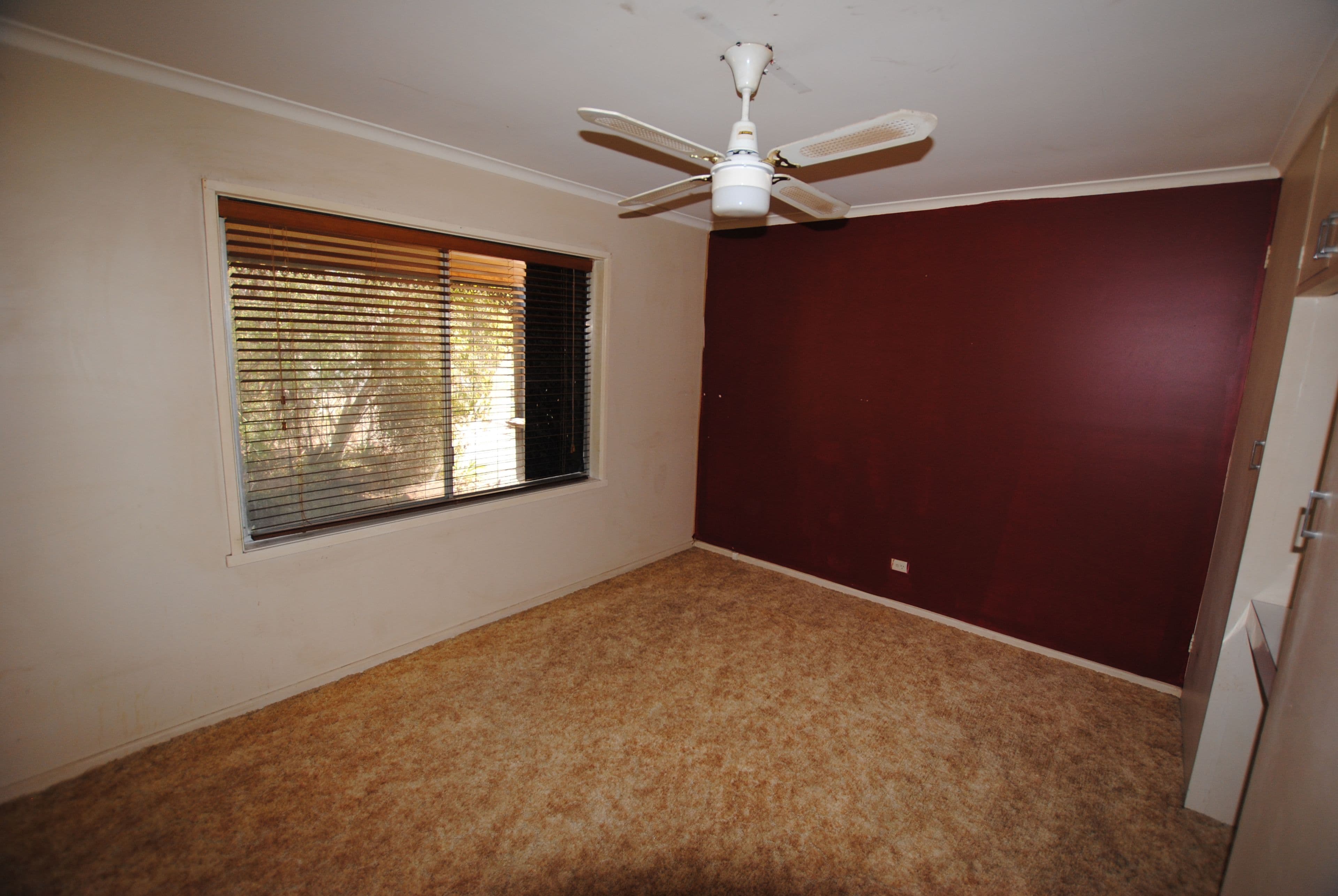 31 Kingfisher Avenue, Coleambally - Thumbnail 6