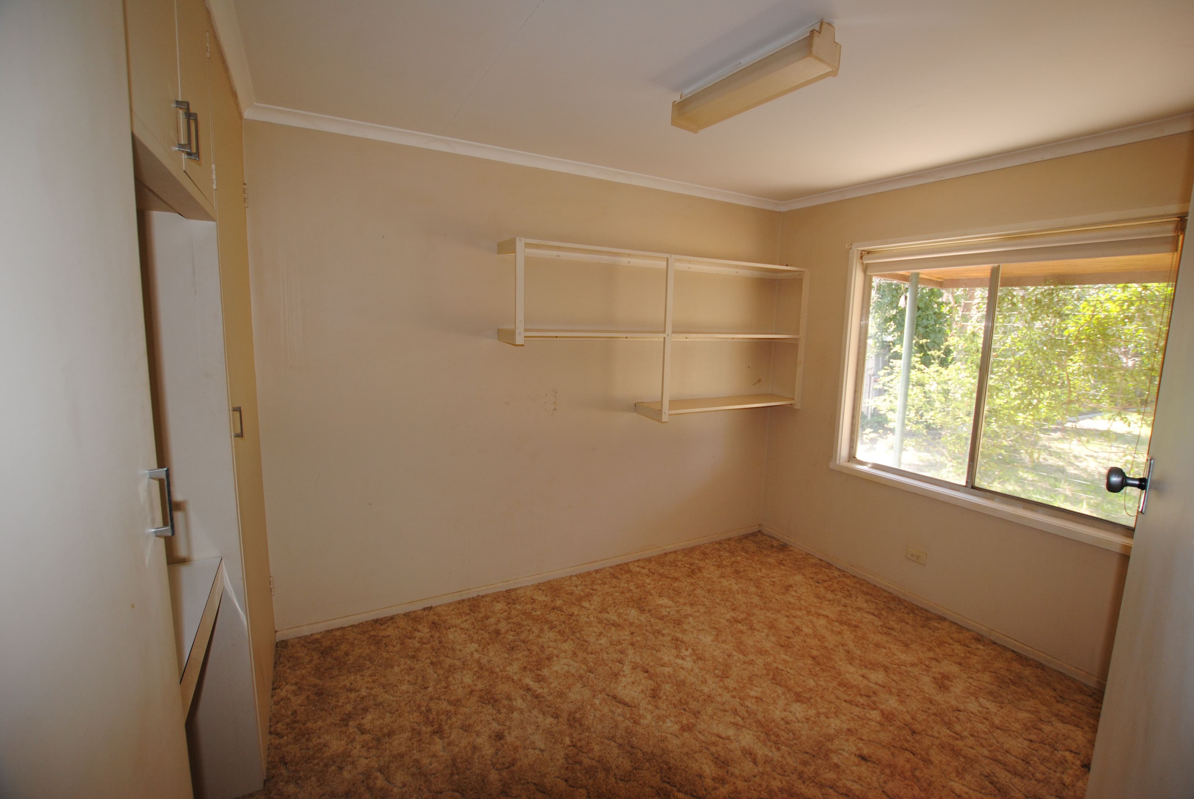 31 Kingfisher Avenue, Coleambally - Thumbnail 8