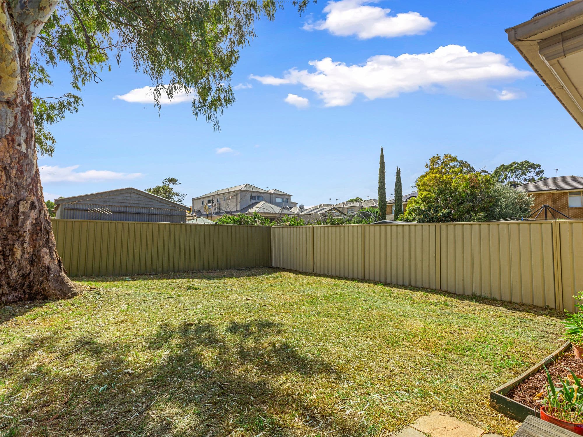 11 Trott Grove, Oaklands Park SA 5046, Oaklands Park - Thumbnail 7