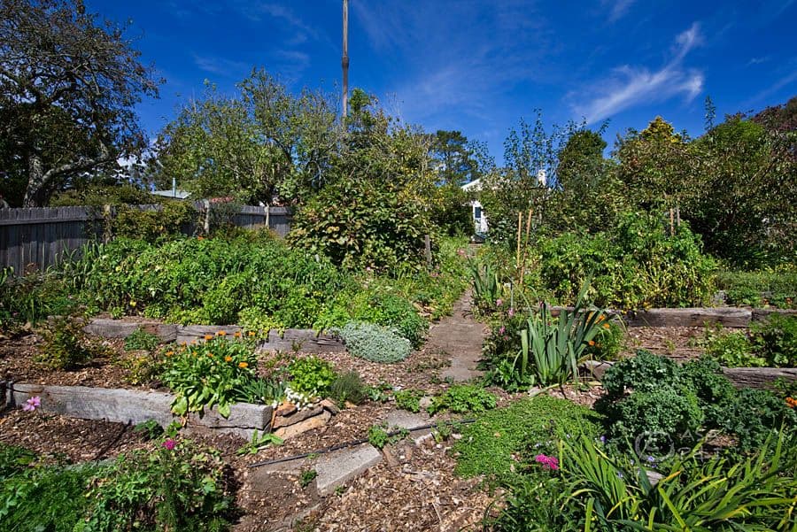13 Staveley Parade, Blackheath - Thumbnail 8