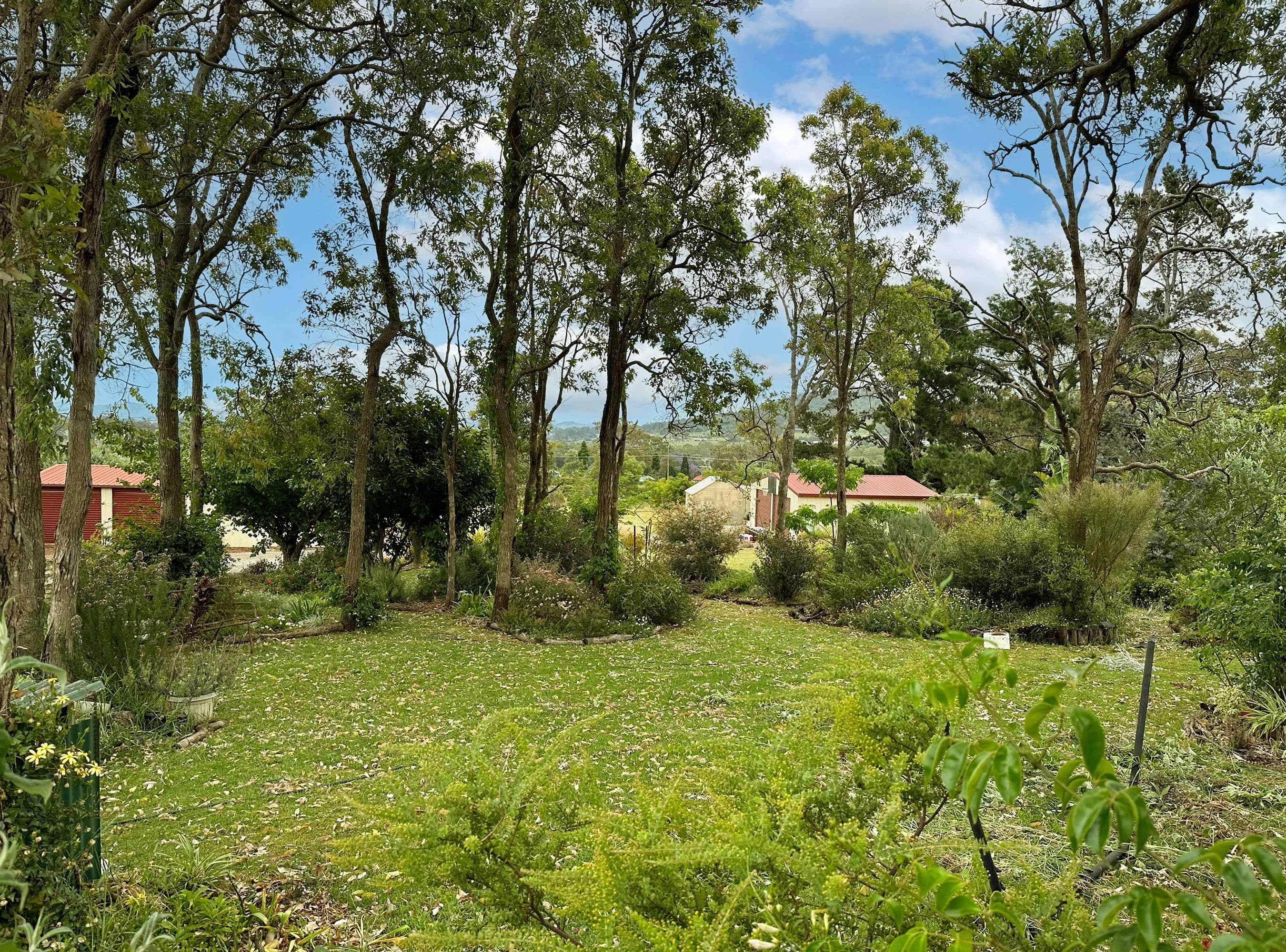 29 Fraser Street, Darling Heights QLD 4350, Darling Heights - Thumbnail 2