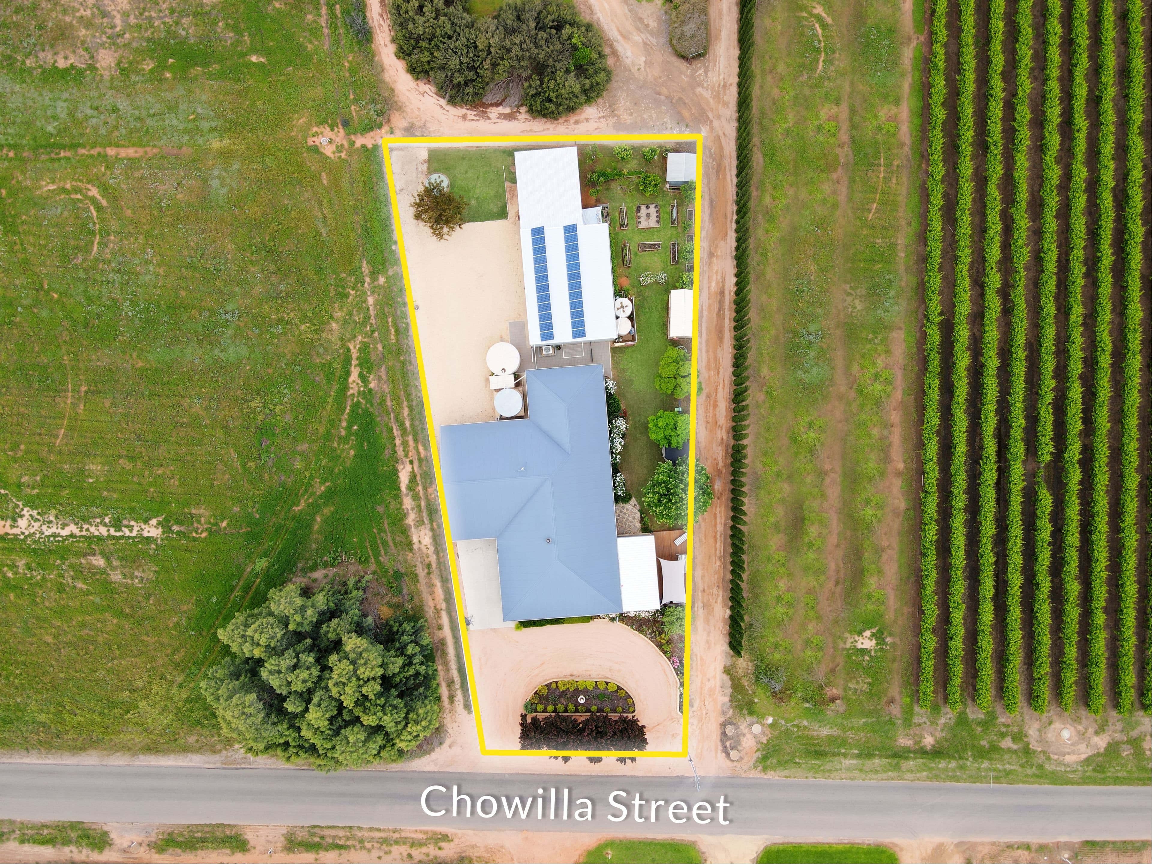 723 Chowilla Street, Renmark SA 5341, Renmark West - Thumbnail 2