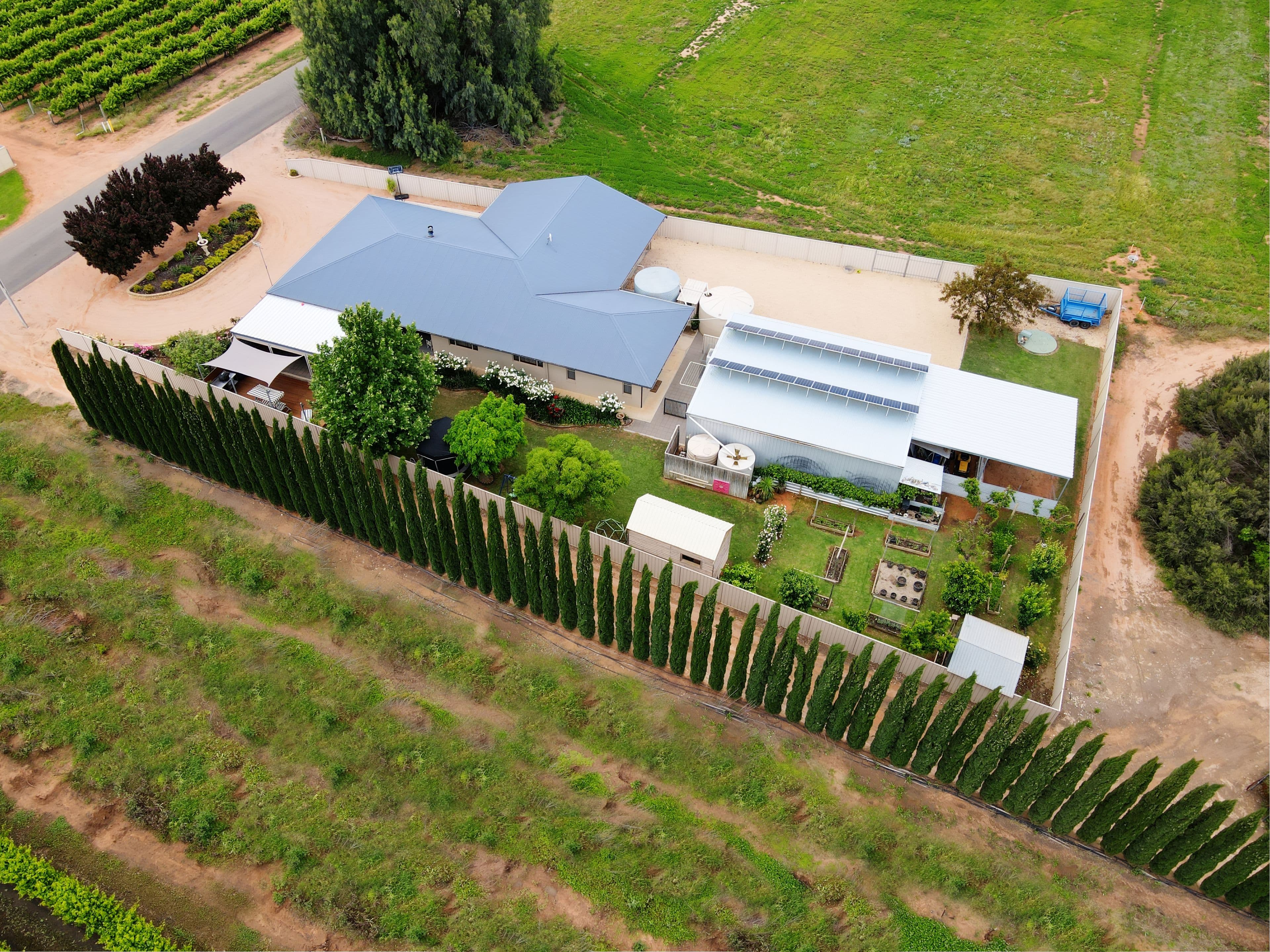 723 Chowilla Street, Renmark SA 5341, Renmark West - Thumbnail 3