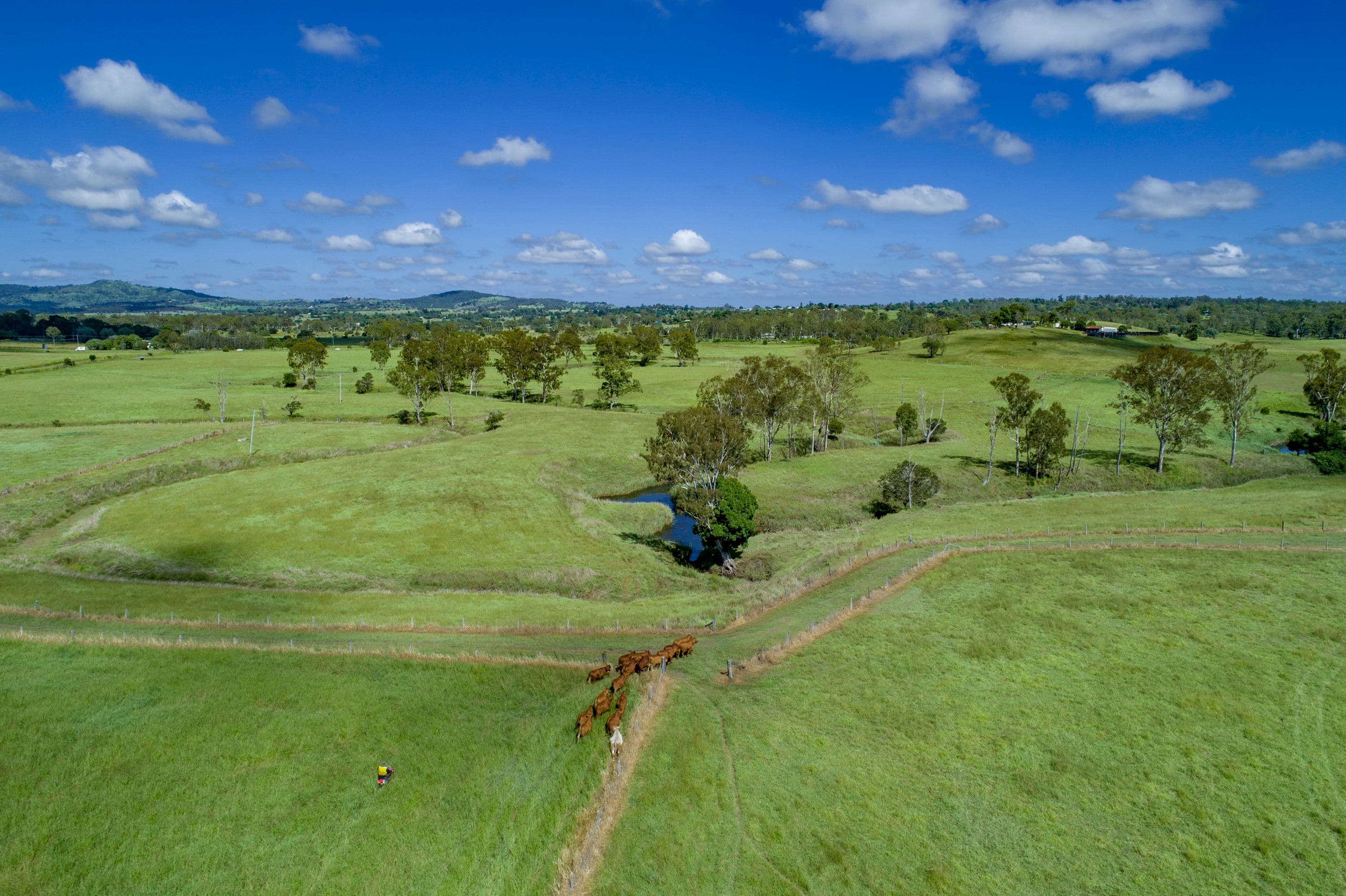 77 Mockers Road, Fairney View QLD 4306, Fairney View - Thumbnail 8