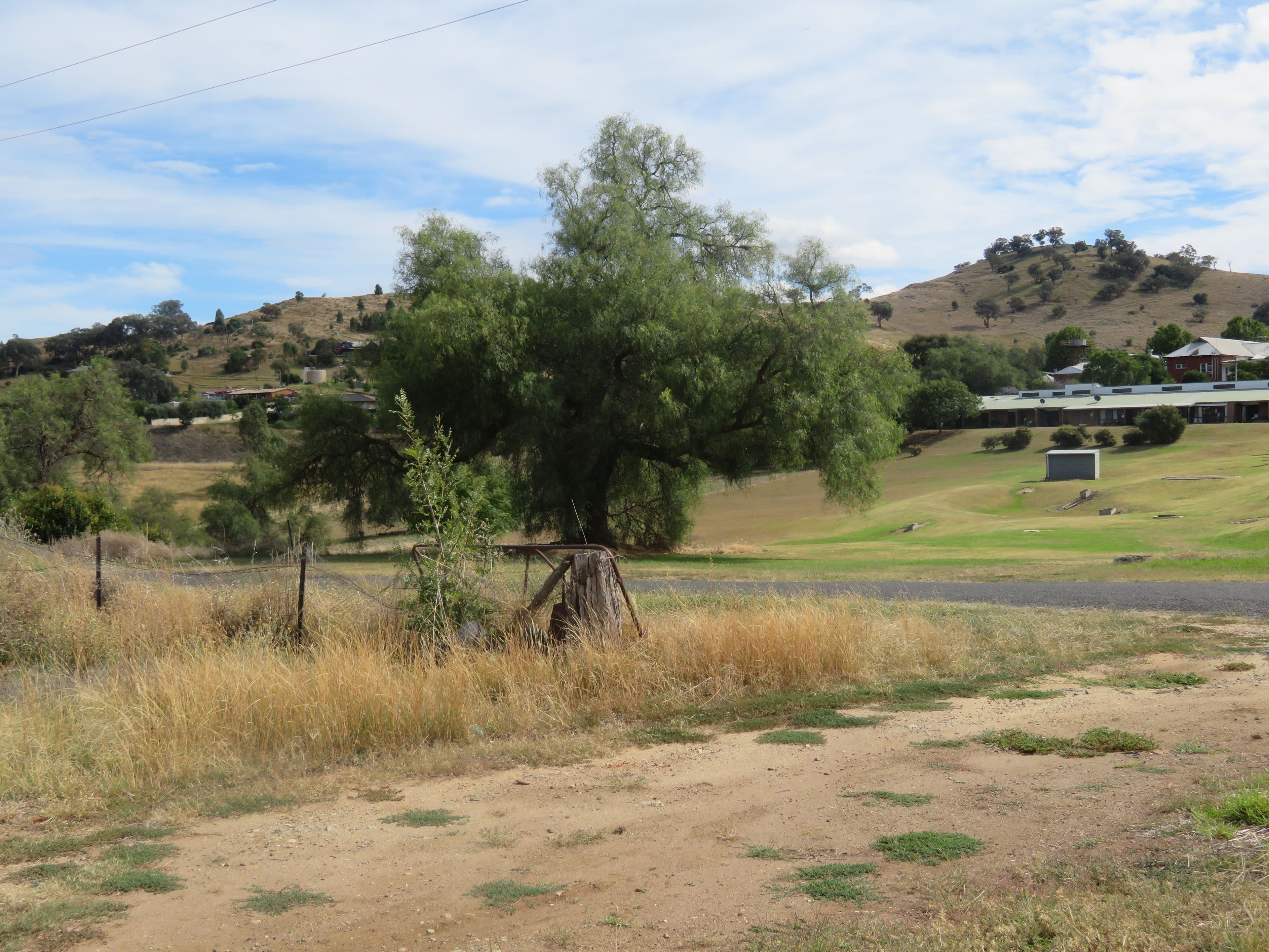 38 Tor Street, Gundagai NSW 2722, Gundagai - Thumbnail 6