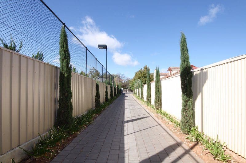 216 Cross Road, UNLEY PARK SA 5061, Unley Park - Thumbnail 3