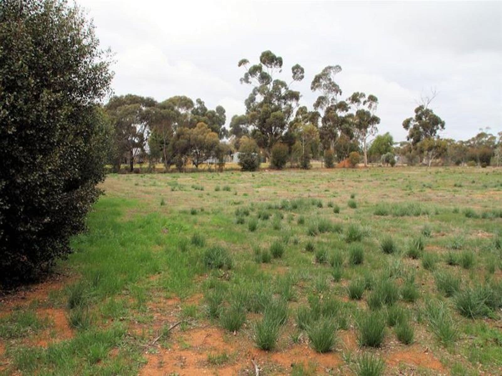 5 Bushland Rise, Koorlong - Thumbnail 4