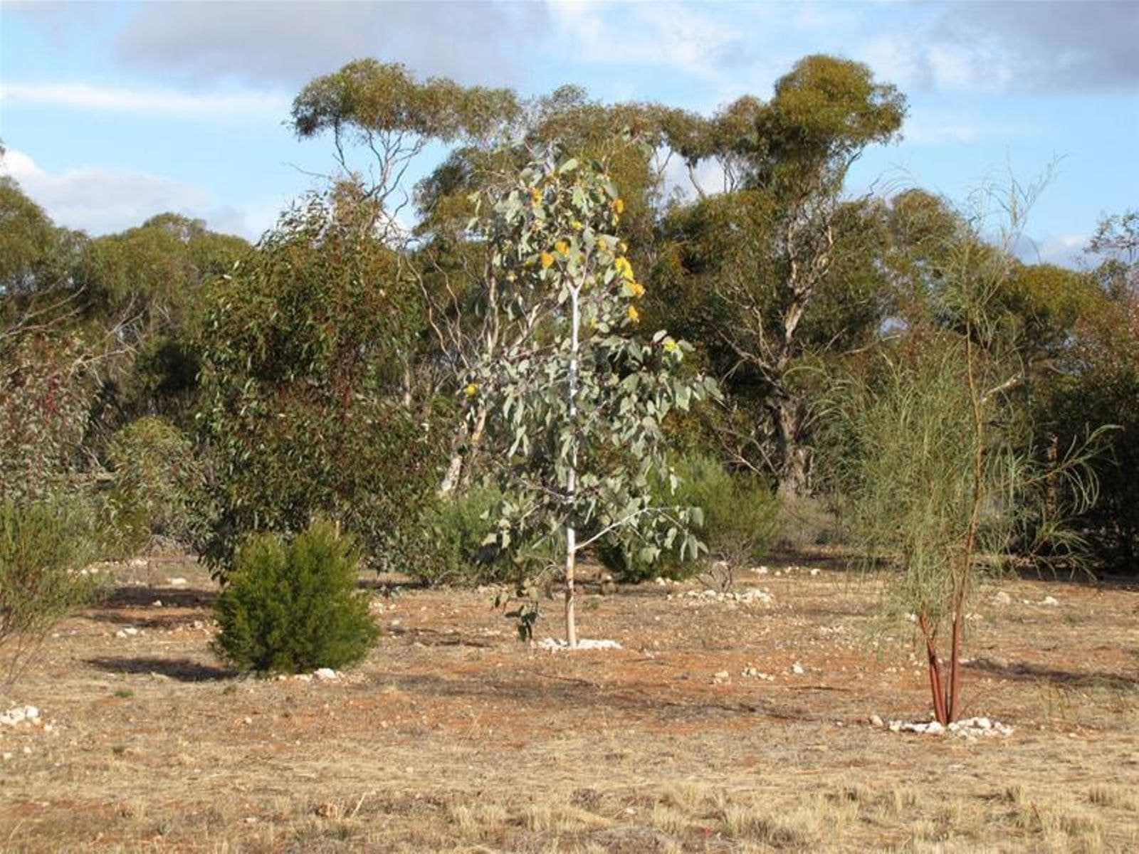5 Bushland Rise, Koorlong - Thumbnail 5