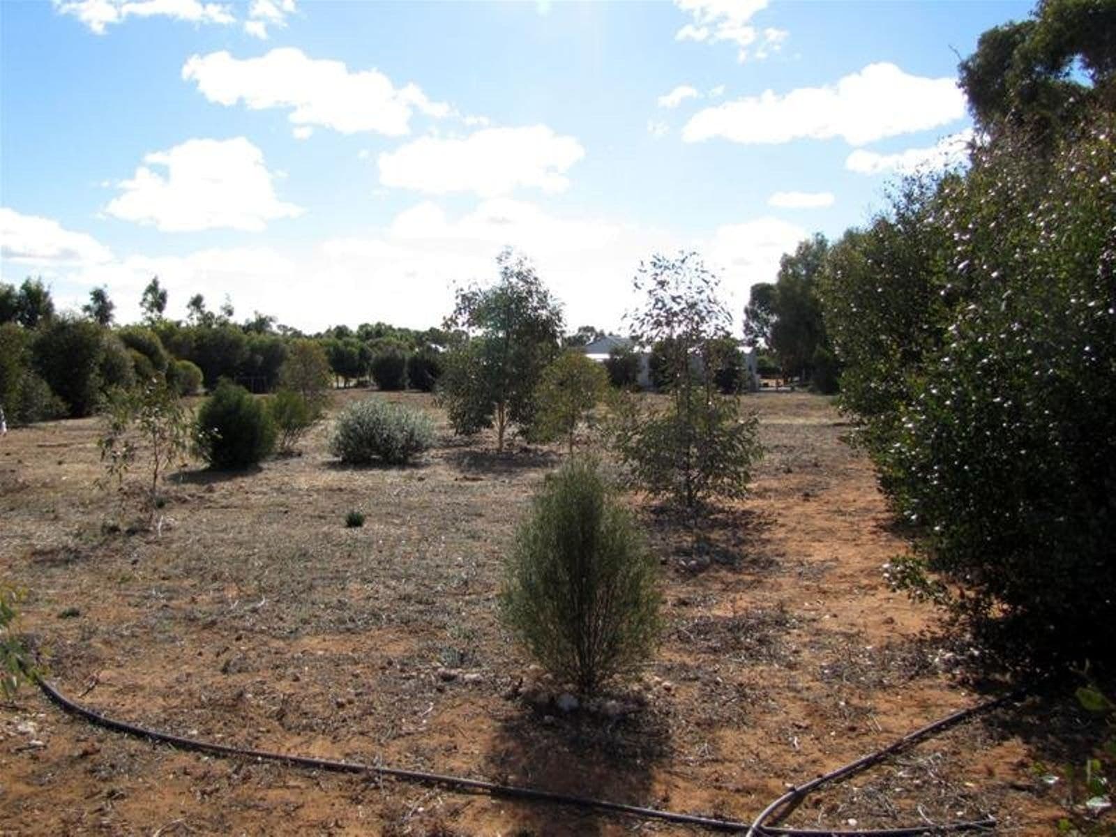 5 Bushland Rise, Koorlong - Thumbnail 7