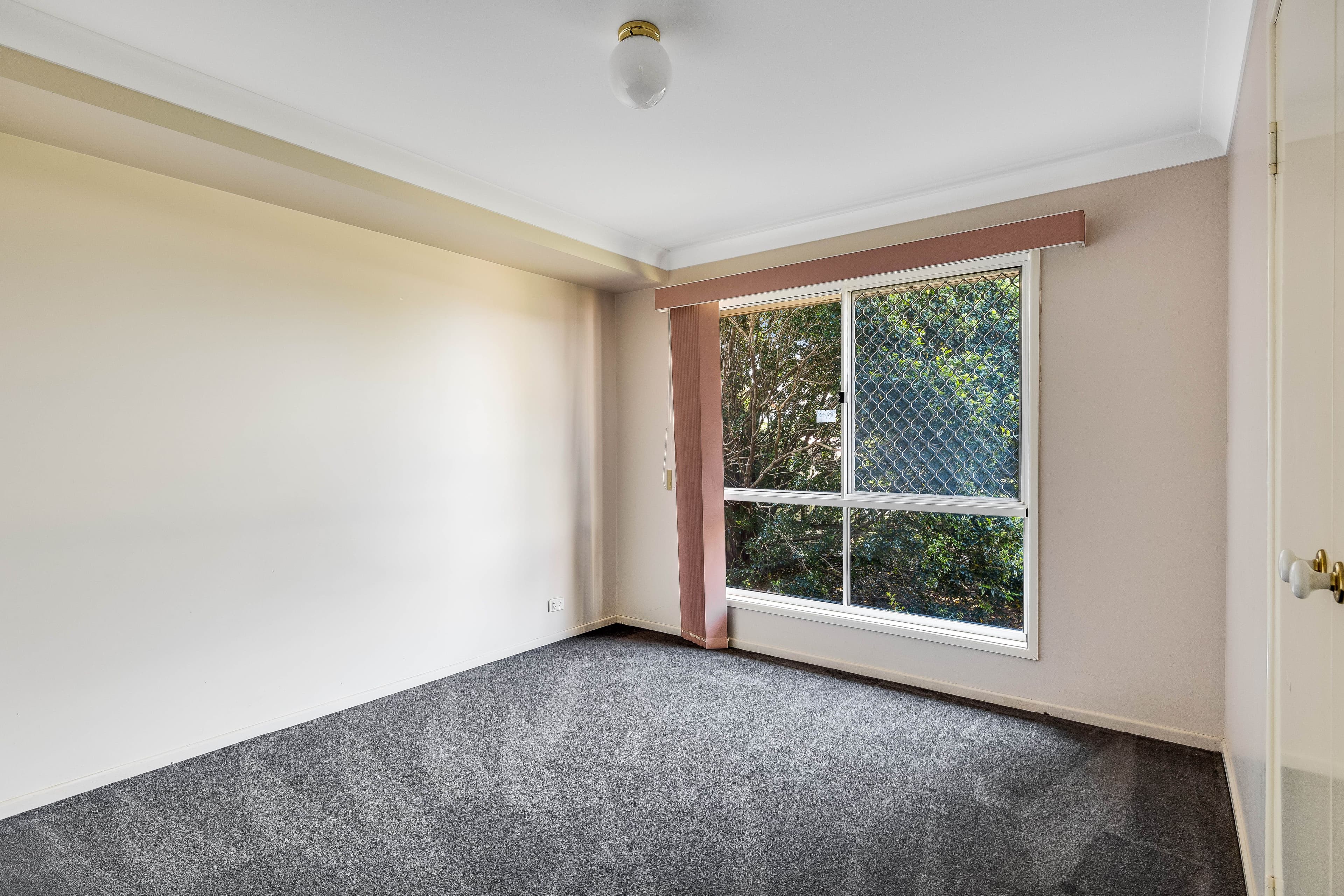 14 Bouganvillea Drive, Middle Ridge QLD 4350, Middle Ridge - Thumbnail 8