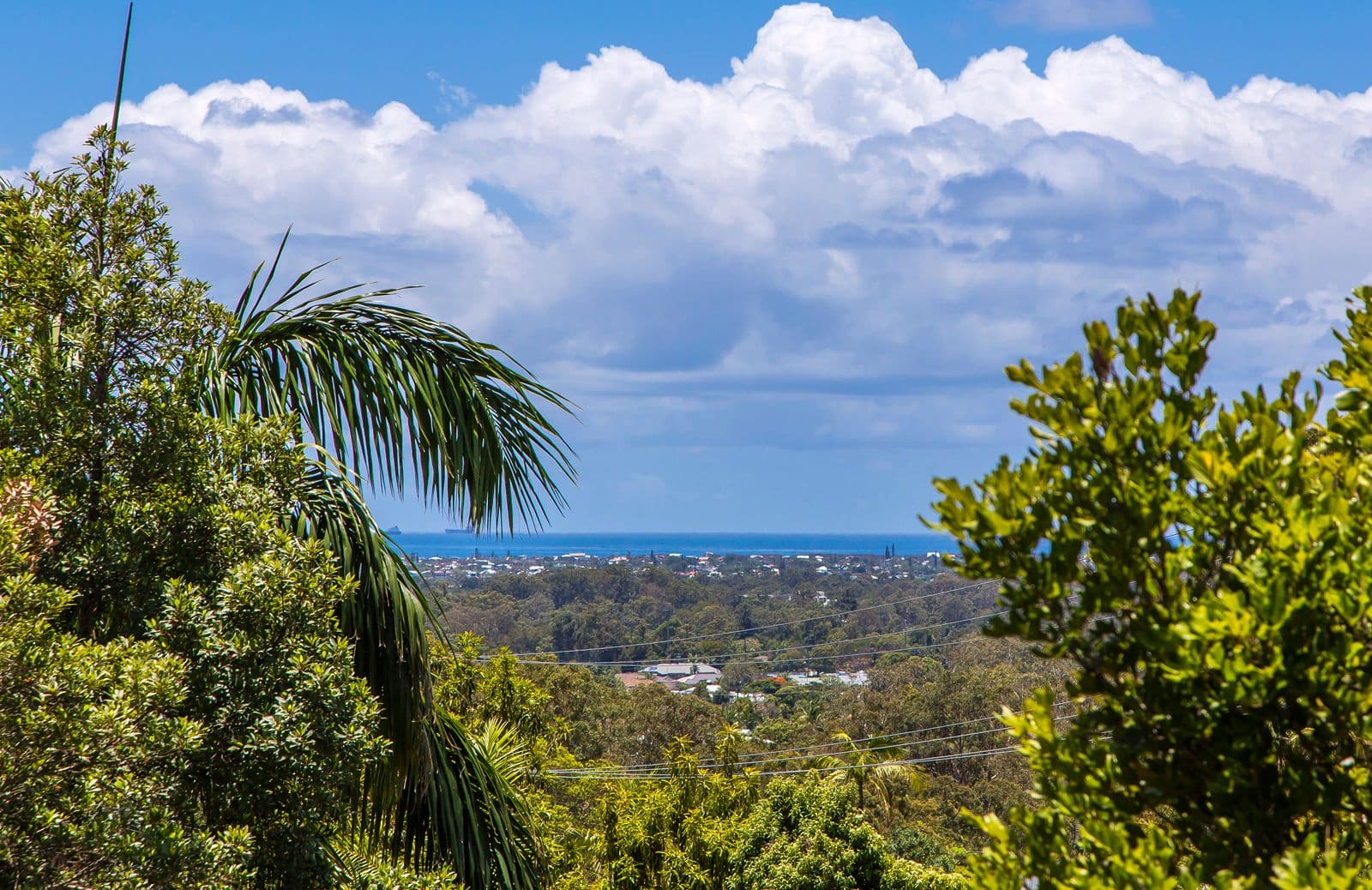 9 Karawatha Street, Buderim QLD 4556, Buderim - Thumbnail 4