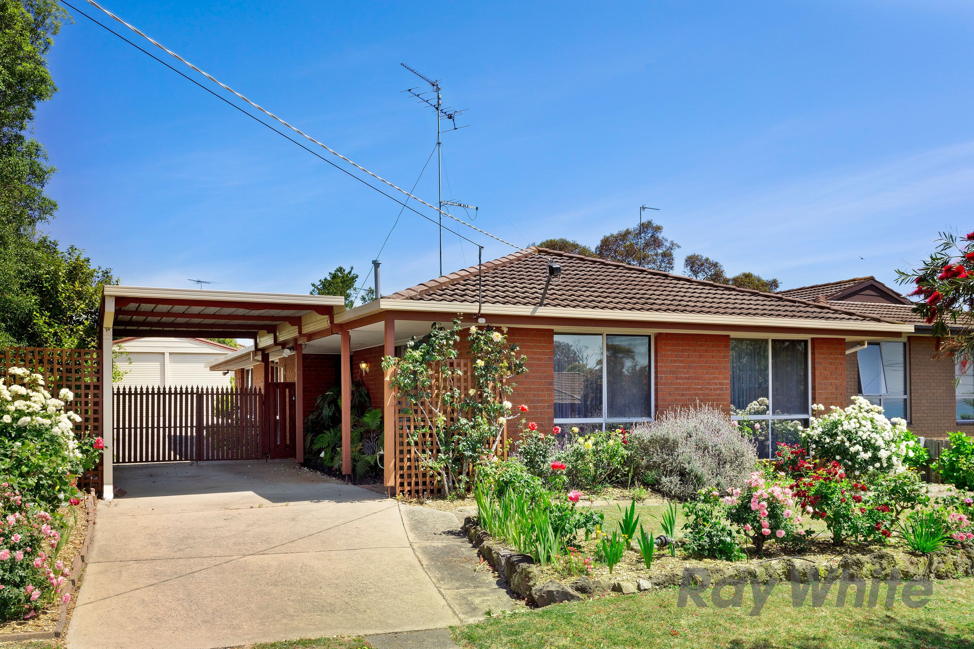 14 Thamballina Road, Clifton Springs VIC 3222, Clifton Springs - Image 1